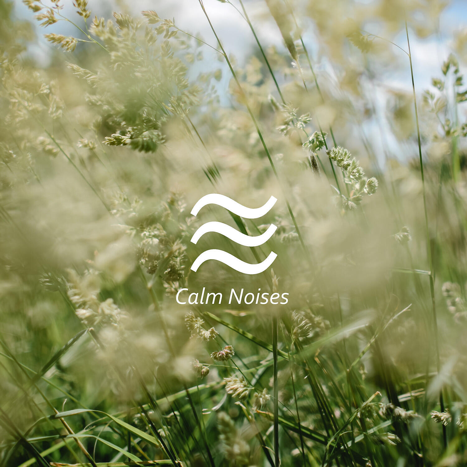 Релиз Womb Sound Brown Noise