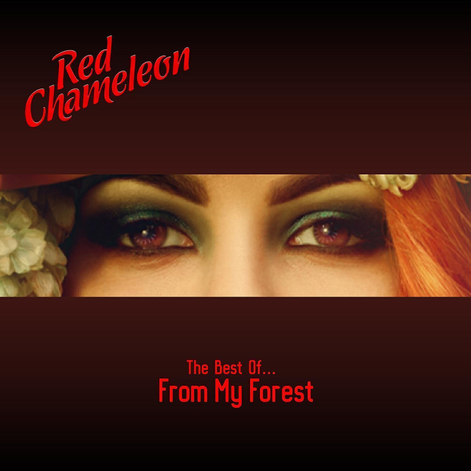 Red Chameleon