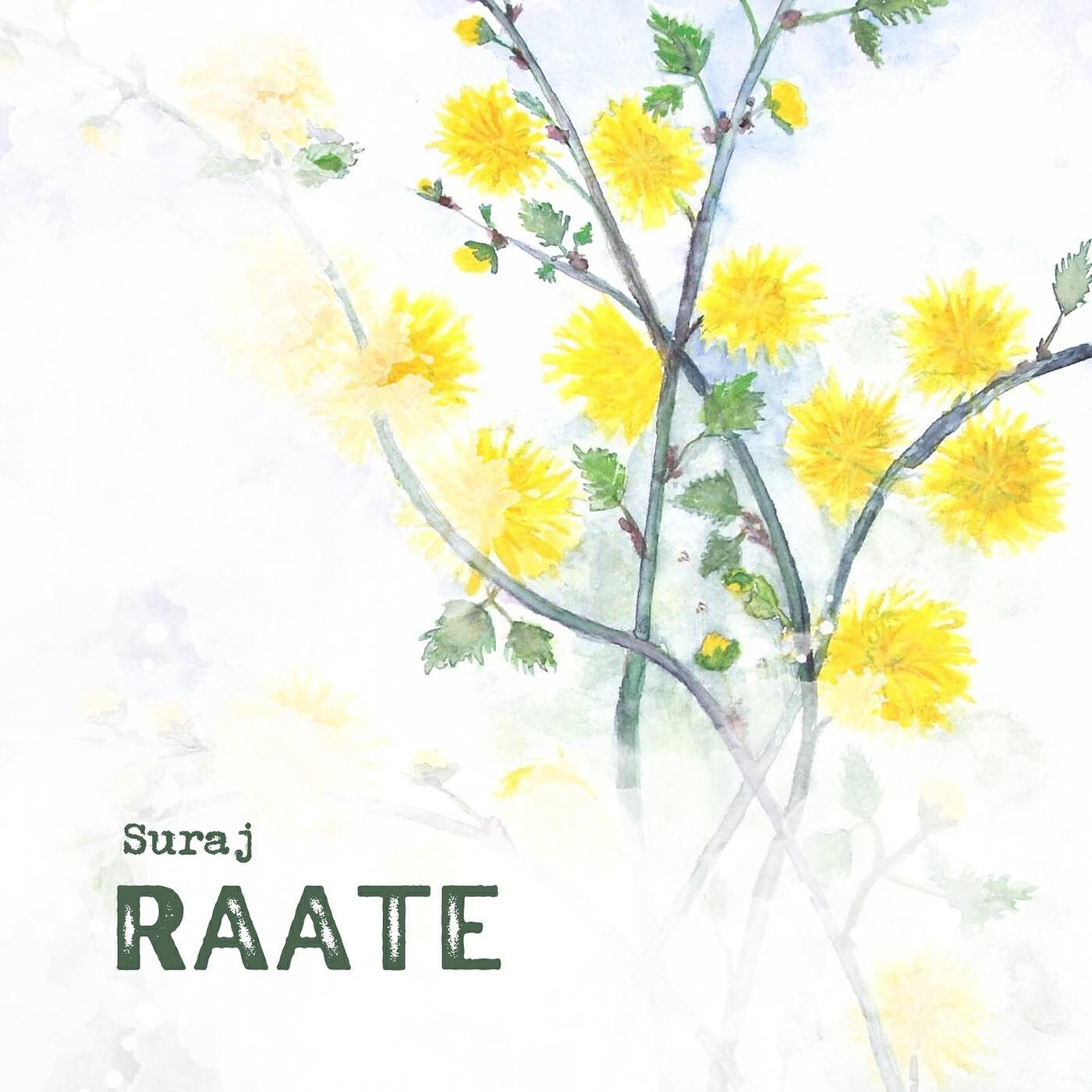 Релиз Raate