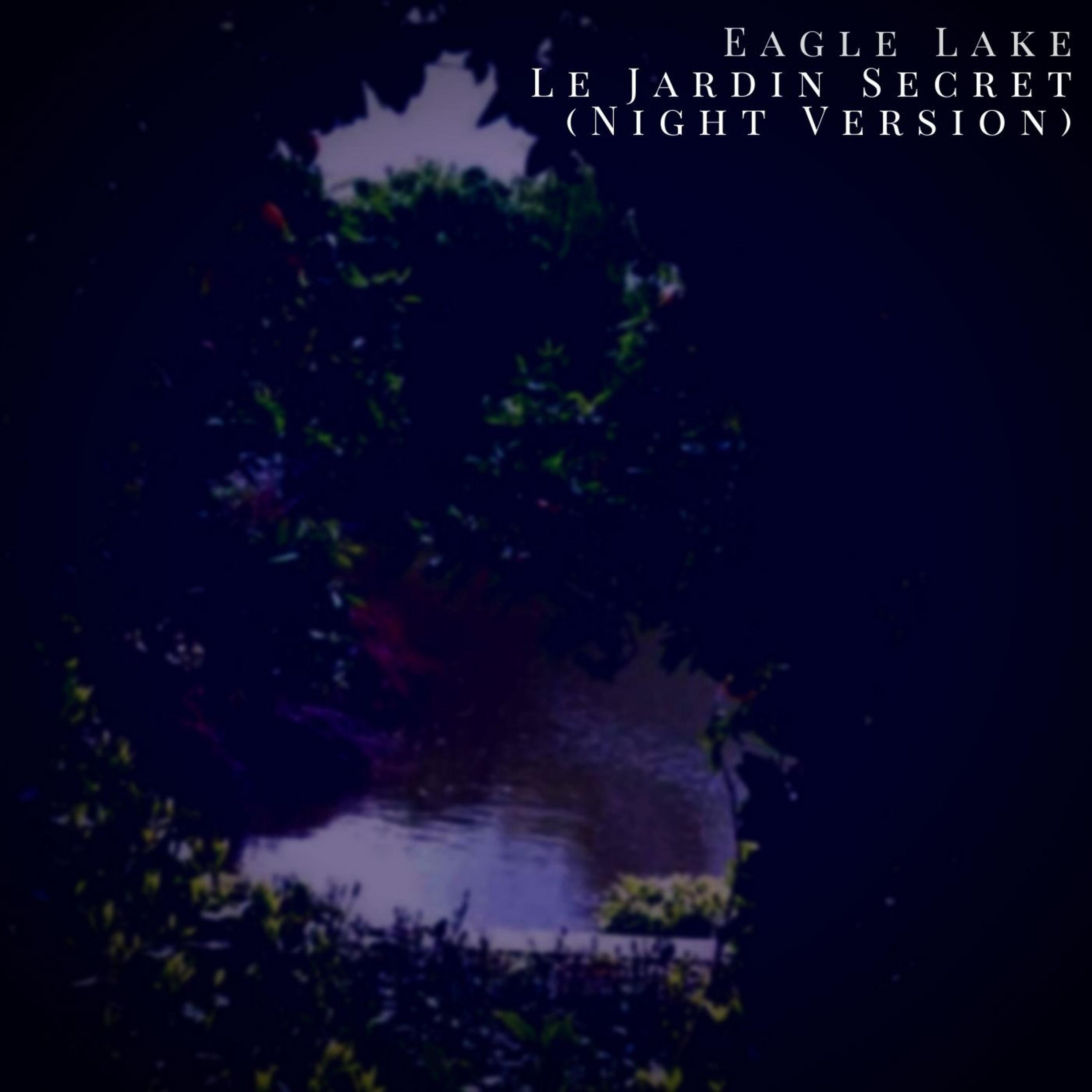 Релиз Le jardin secret (night version)