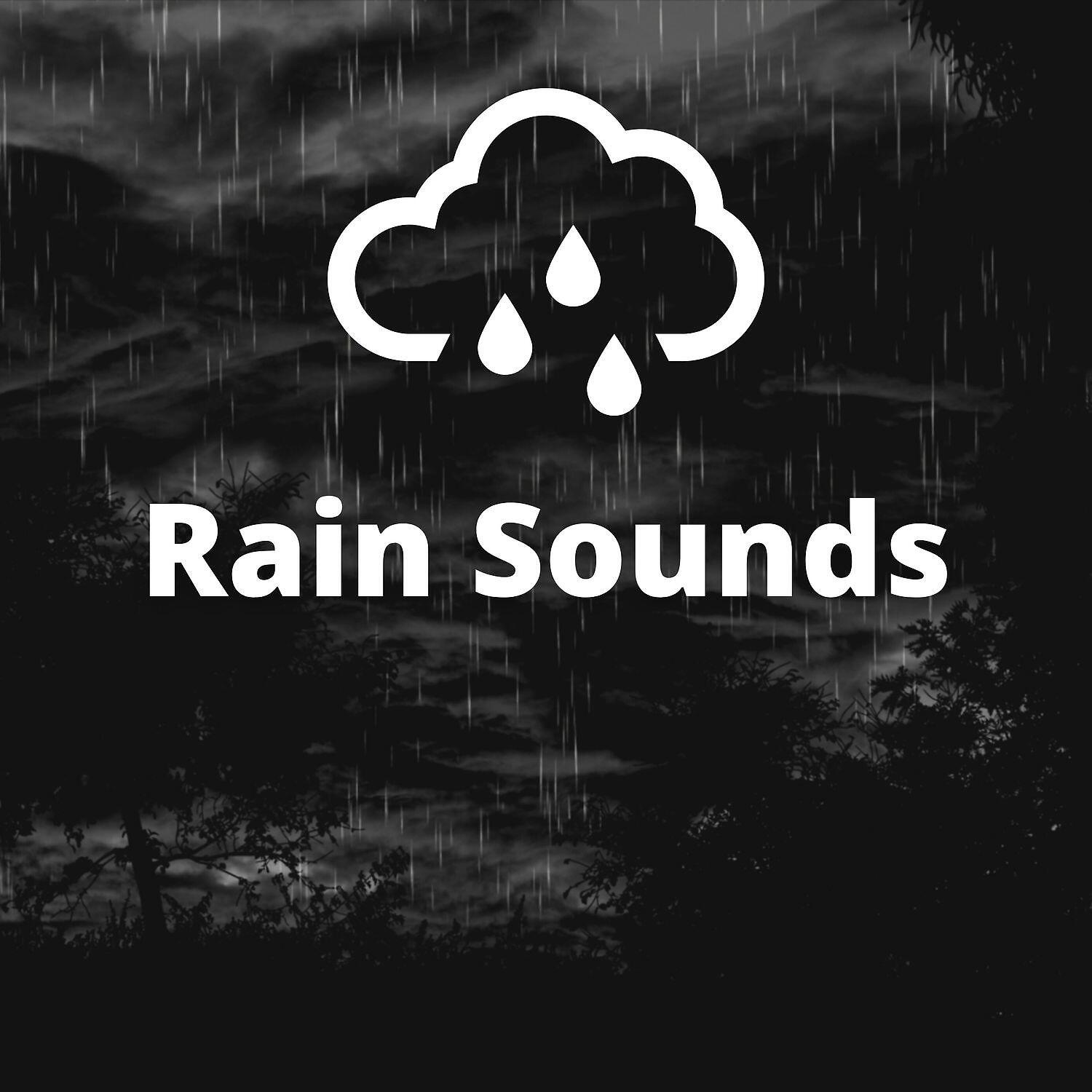 Постер альбома Rain Sounds - Sleep Better