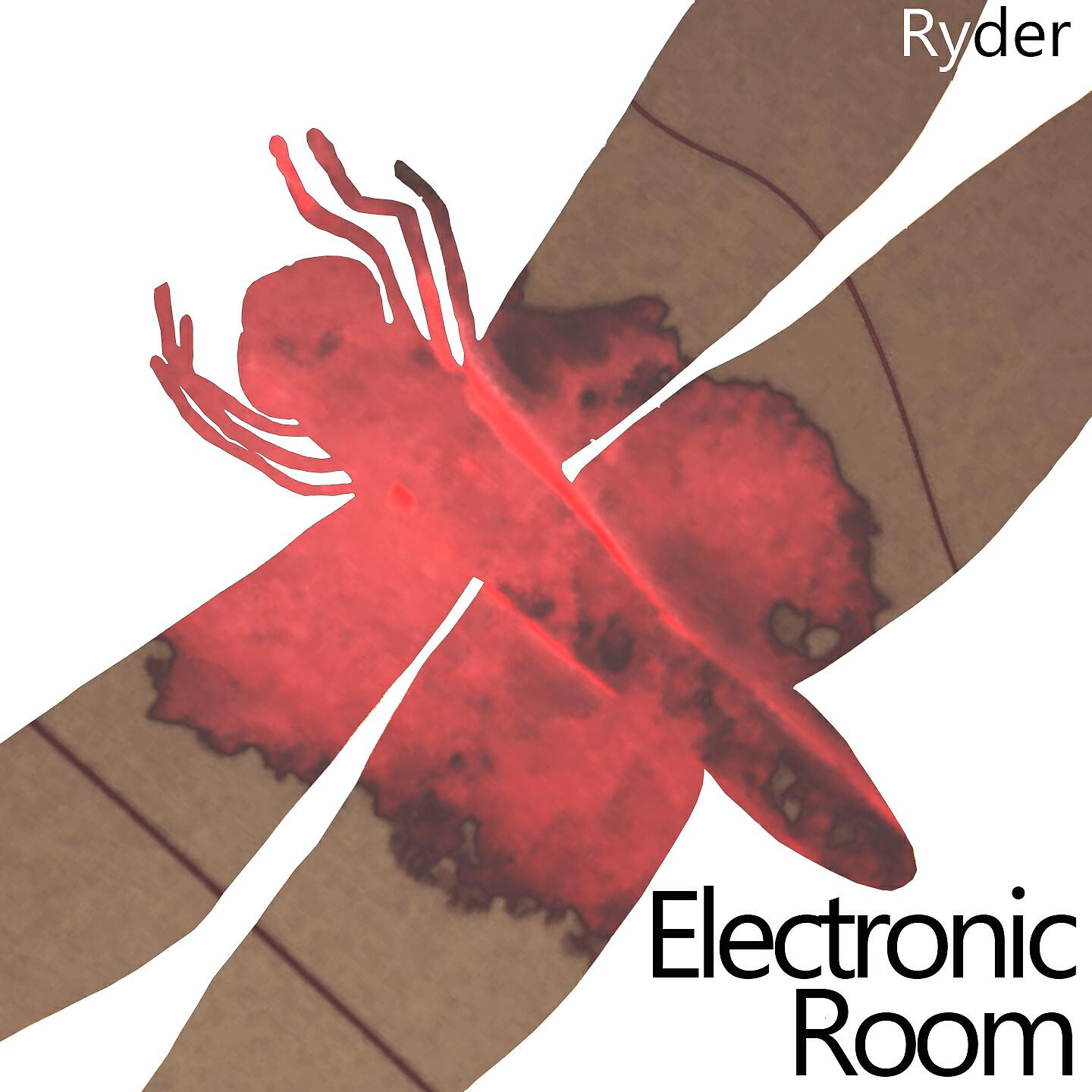 Ryder - Electronic Room (DJ Dew Remix)