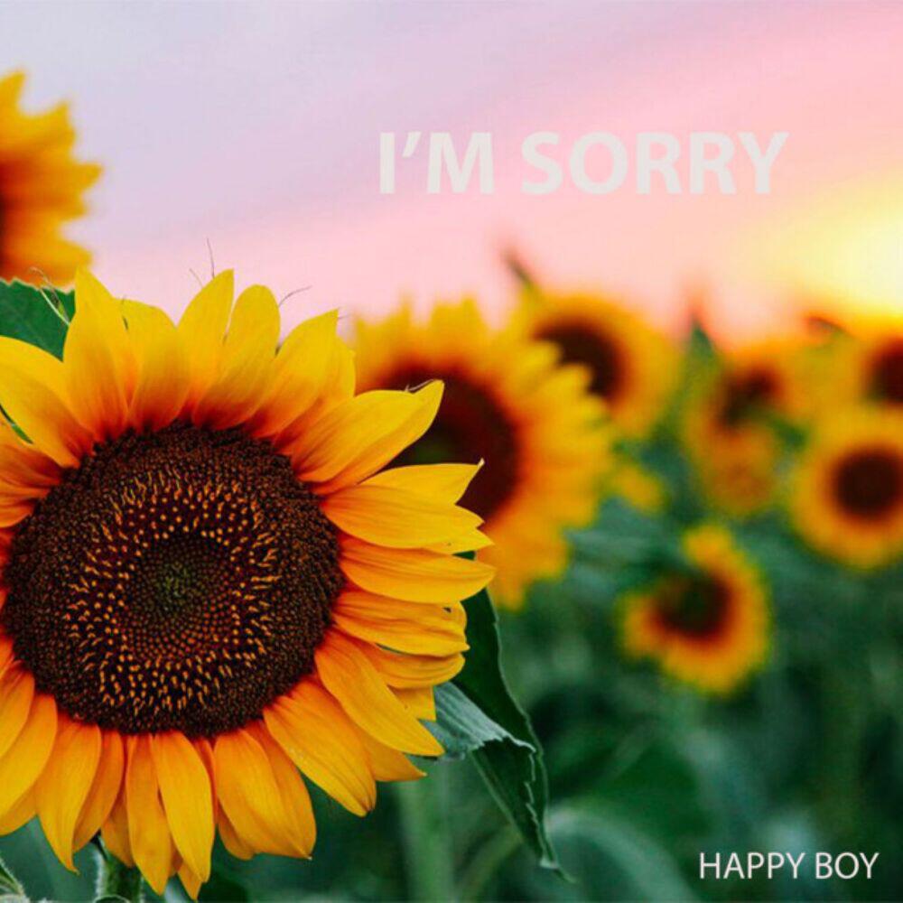 Релиз I'm Sorry