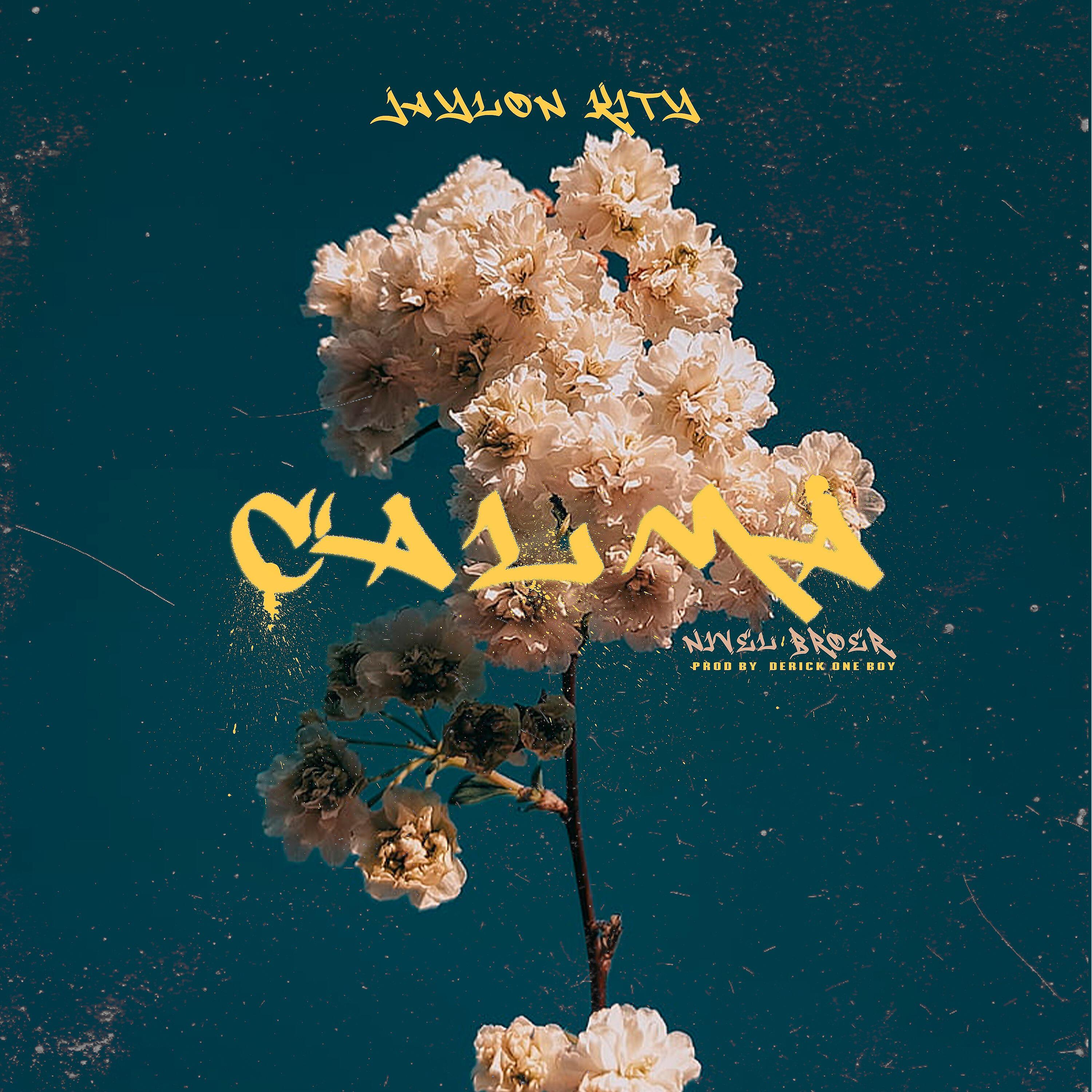 Релиз Calma