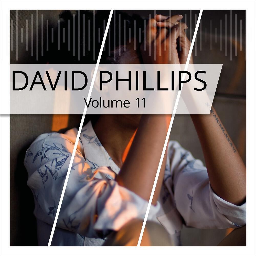 Релиз David Phillips, Vol. 11