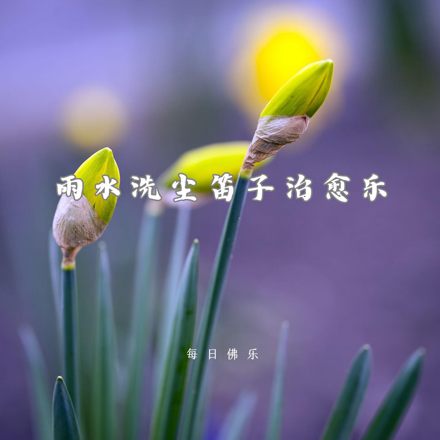 Релиз 雨水洗尘笛子治愈乐