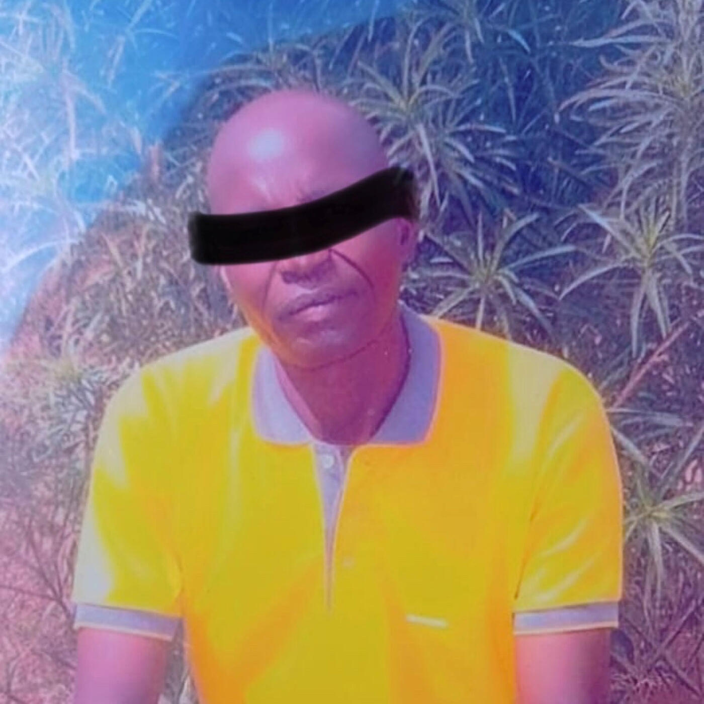 Релиз Rip Father Chambu
