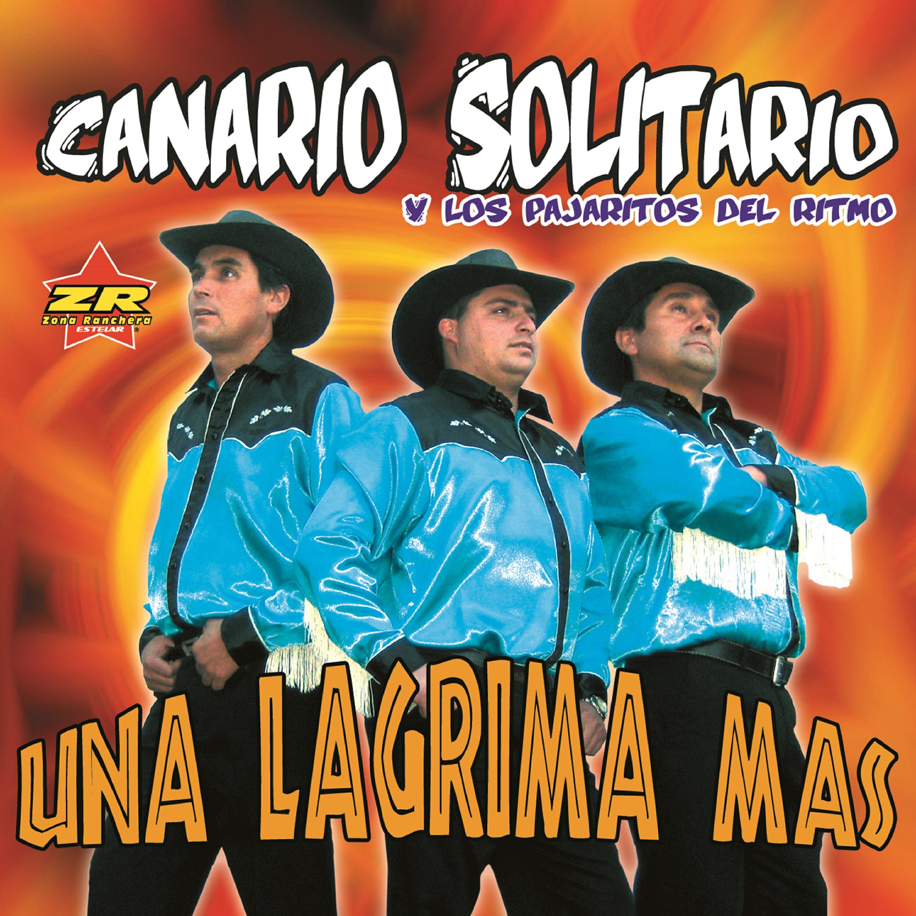 Canario Solitario