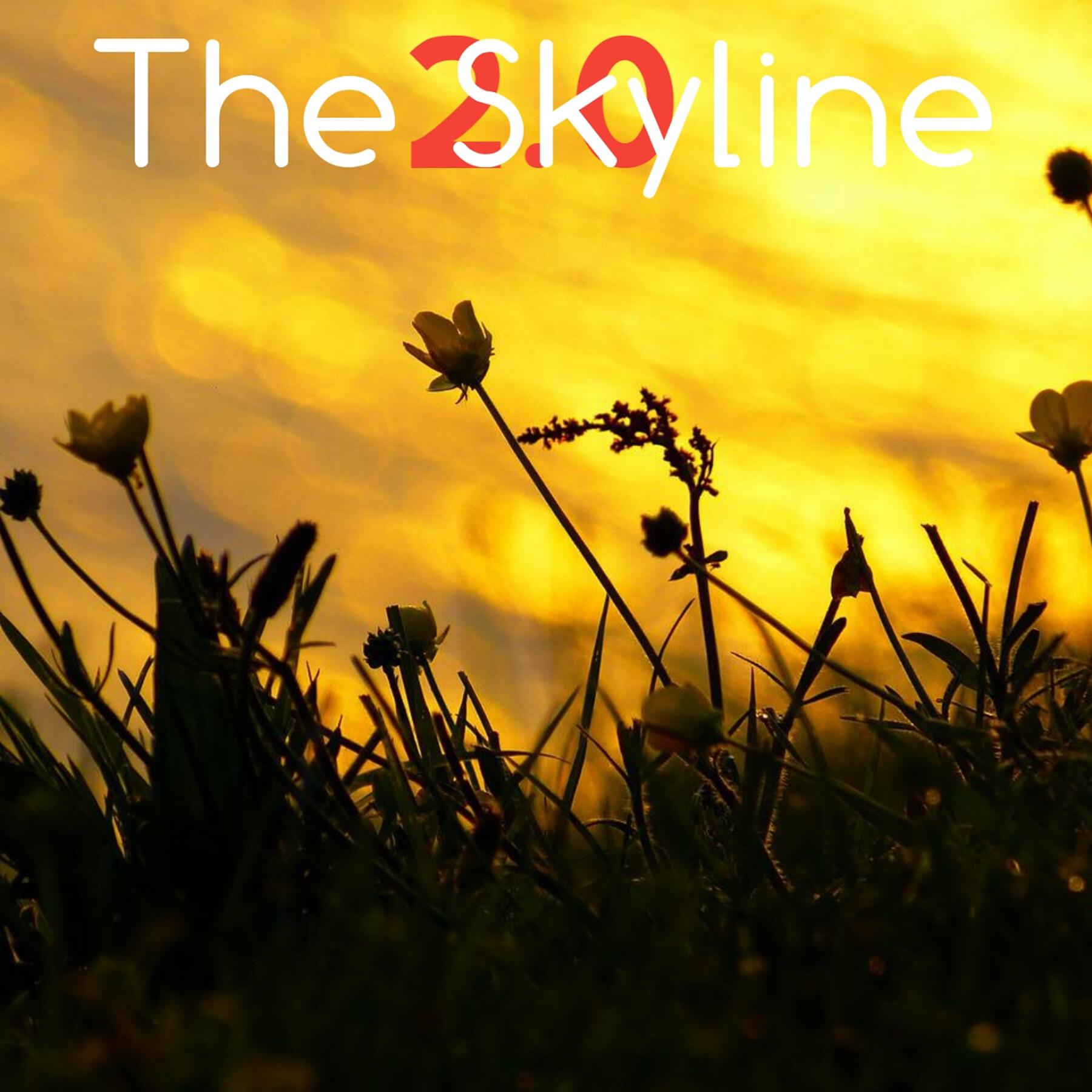 Релиз The Skyline 2.0