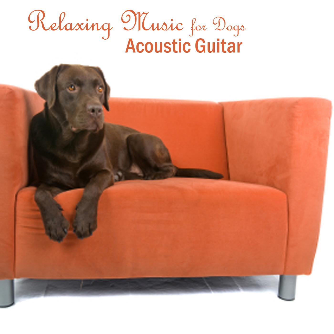Релиз Relaxing Music for Dogs - Acoustic Guitar Songs