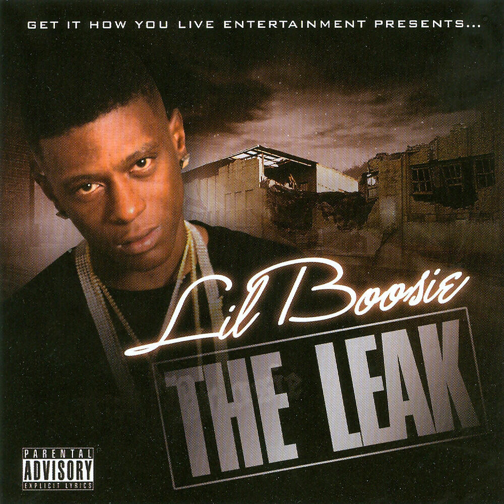 Скачать песню Lil Boosie, Hatch Boy, Heavy D - Undeniable Talent бесплатно в MP3 для Android и iOS