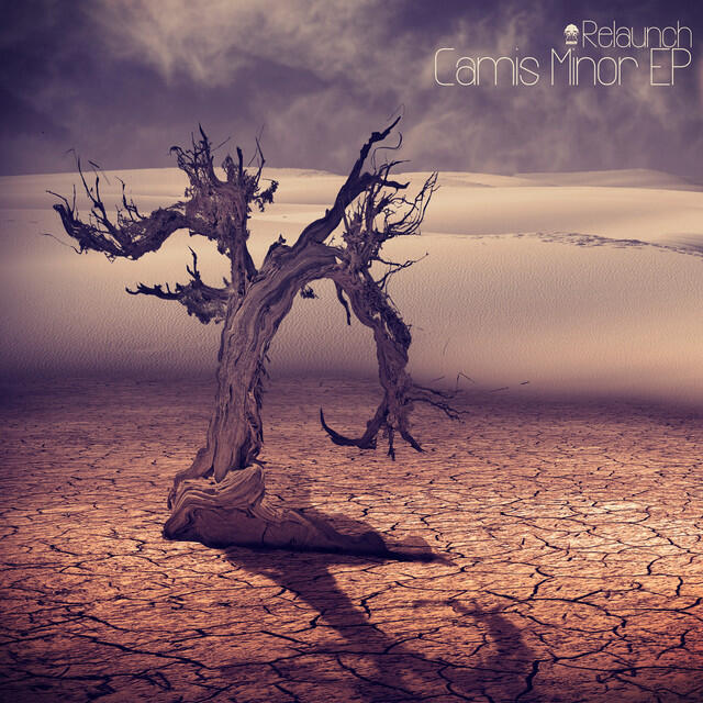 Релиз Camis Minor EP