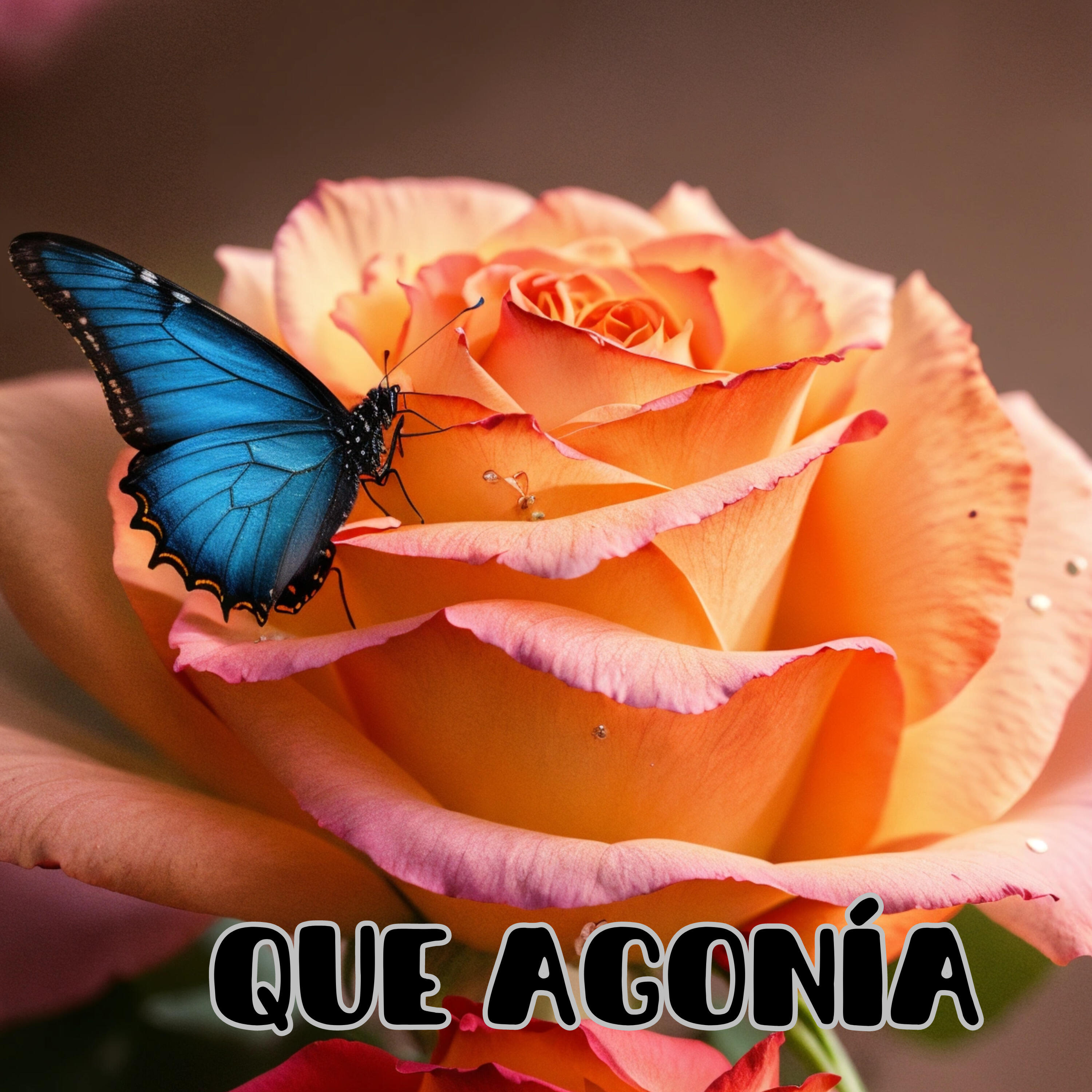 Релиз Que Agonía
