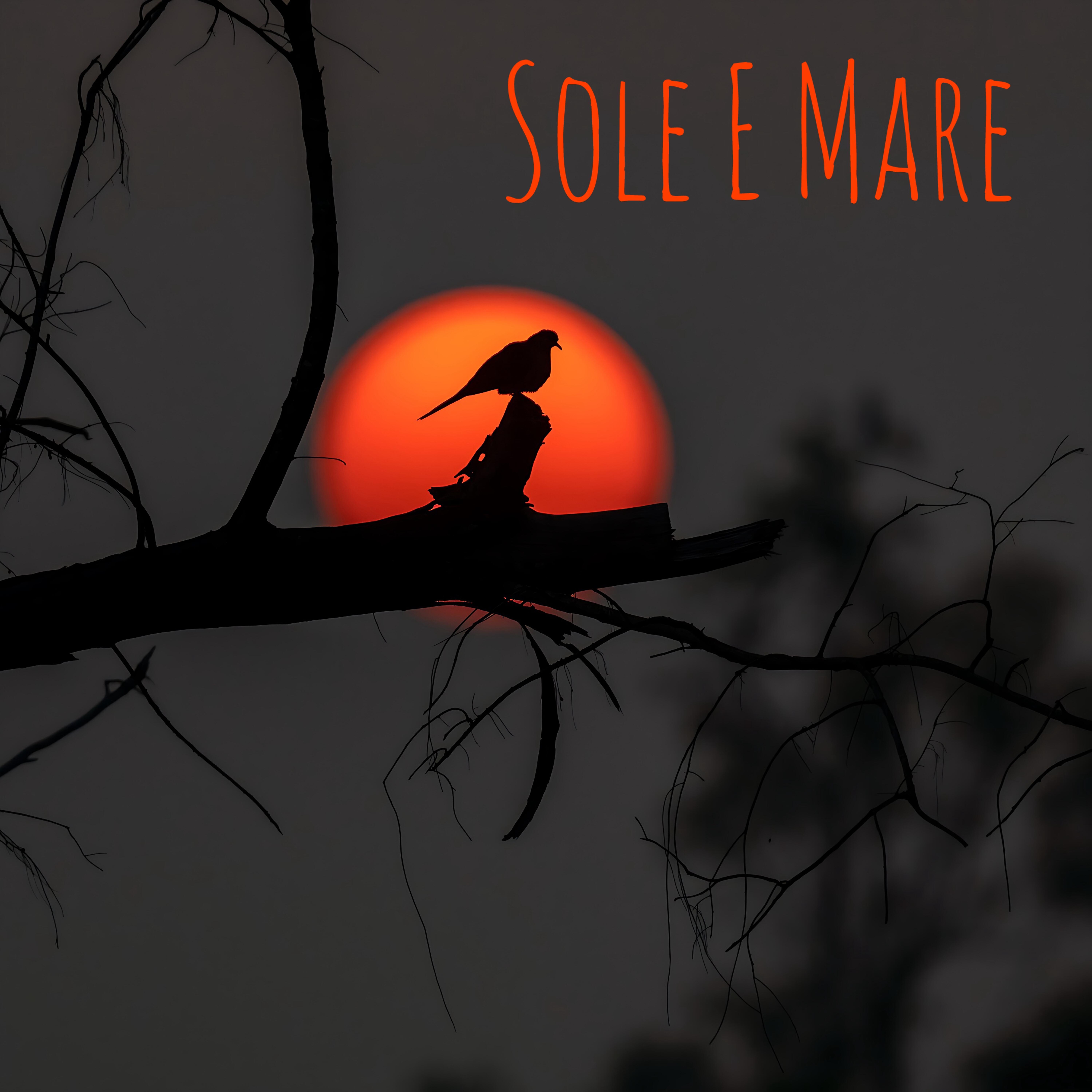 Релиз Sole e Mare