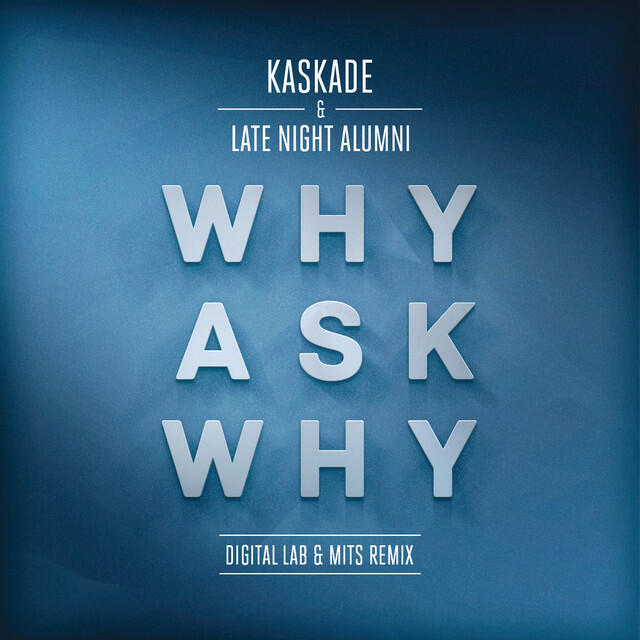 Постер альбома Why Ask Why