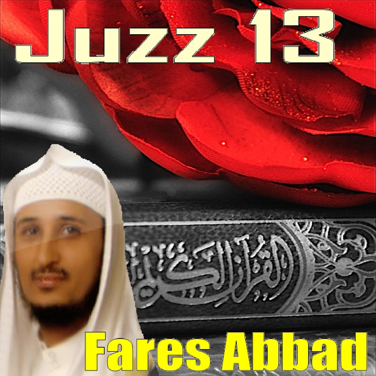 Релиз Juzz, Vol. 13