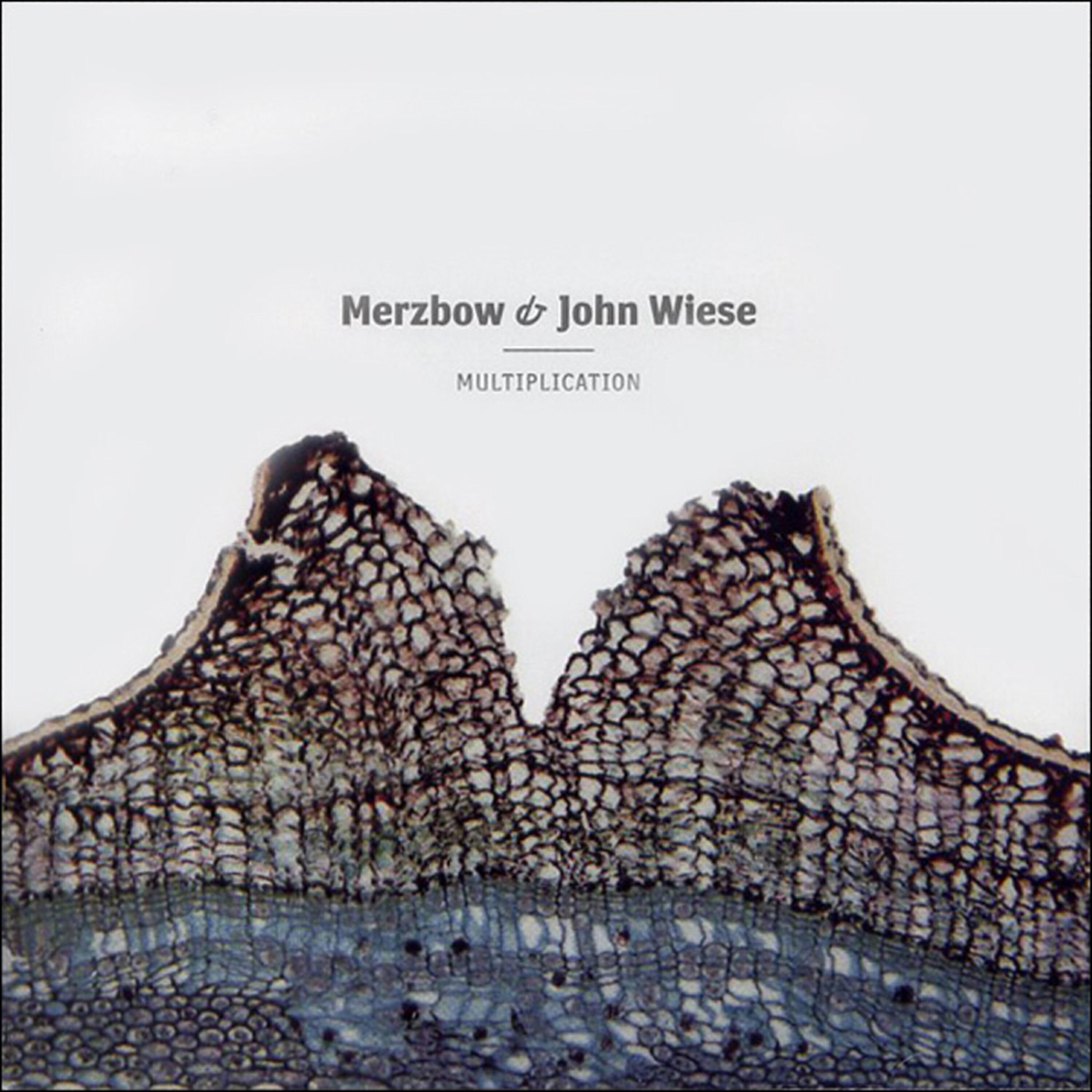 Merzbow, John Wiese - Luxor Skyship