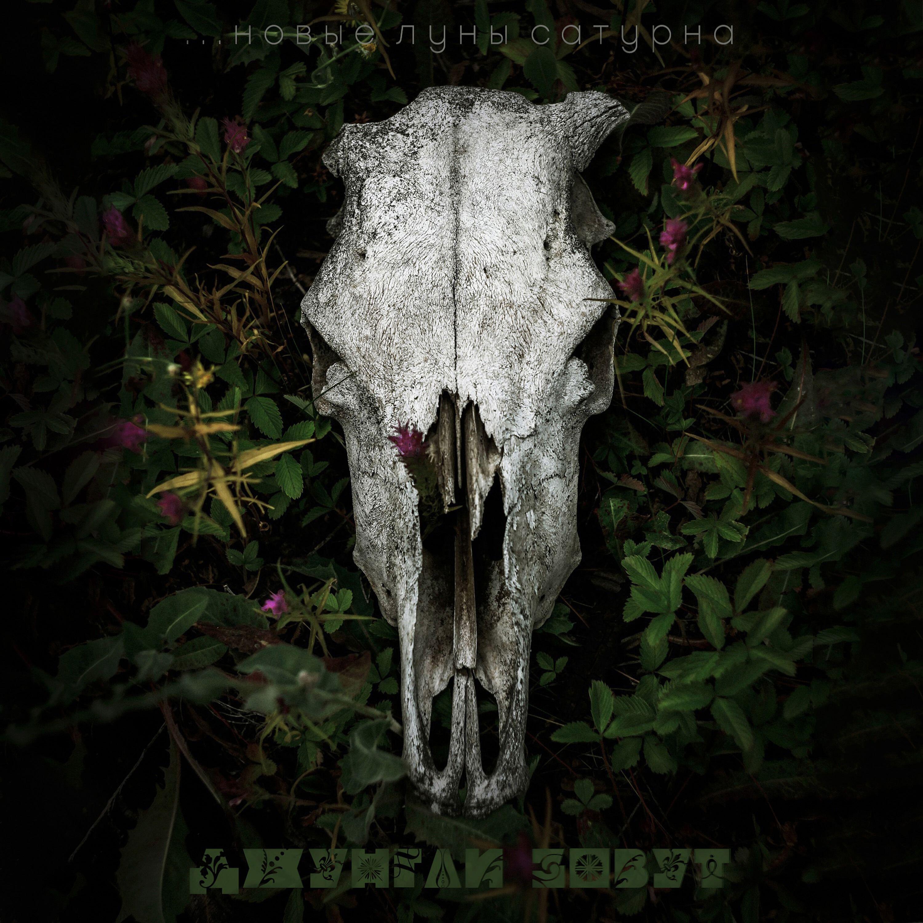 Релиз джунгли зовут