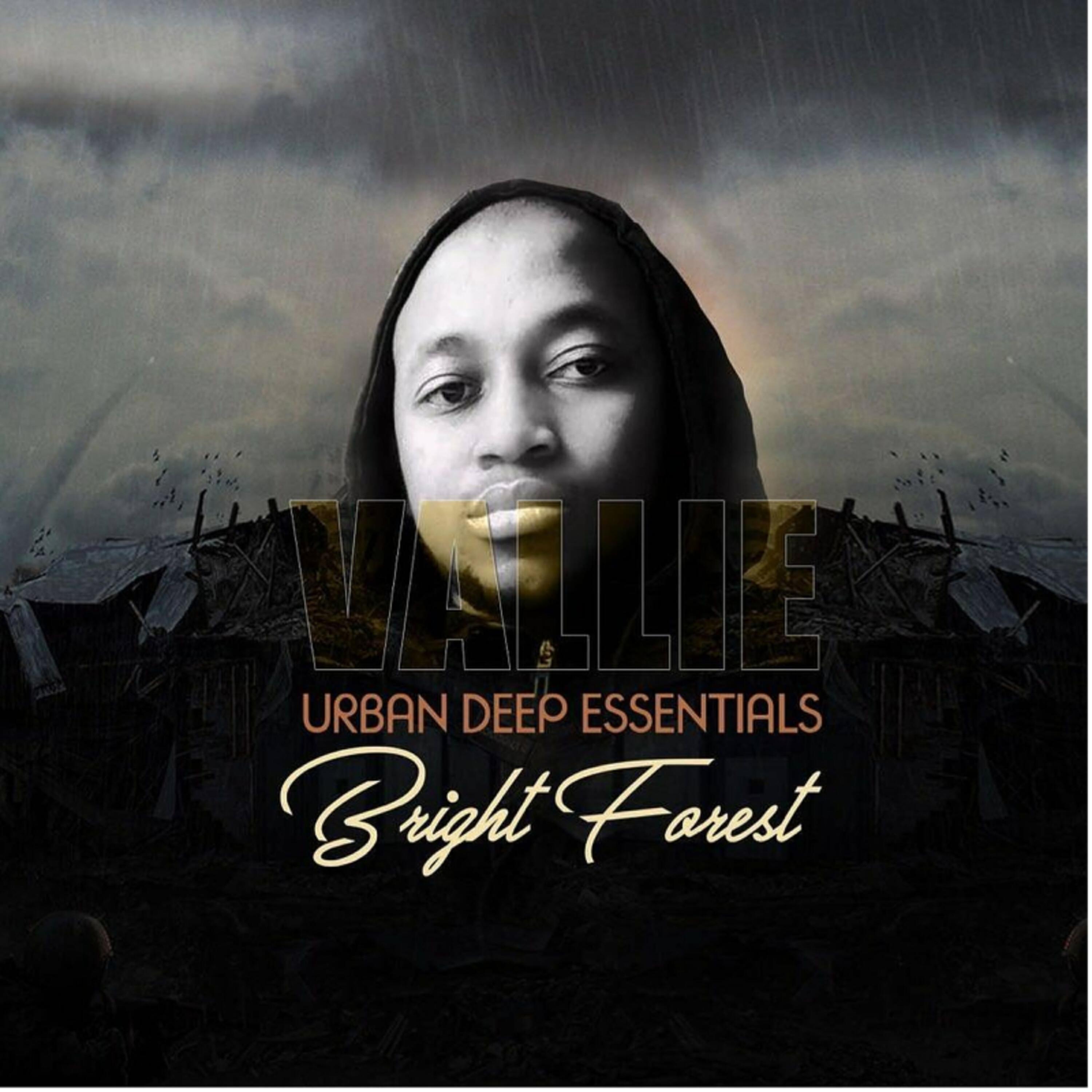 Релиз Bright Forest