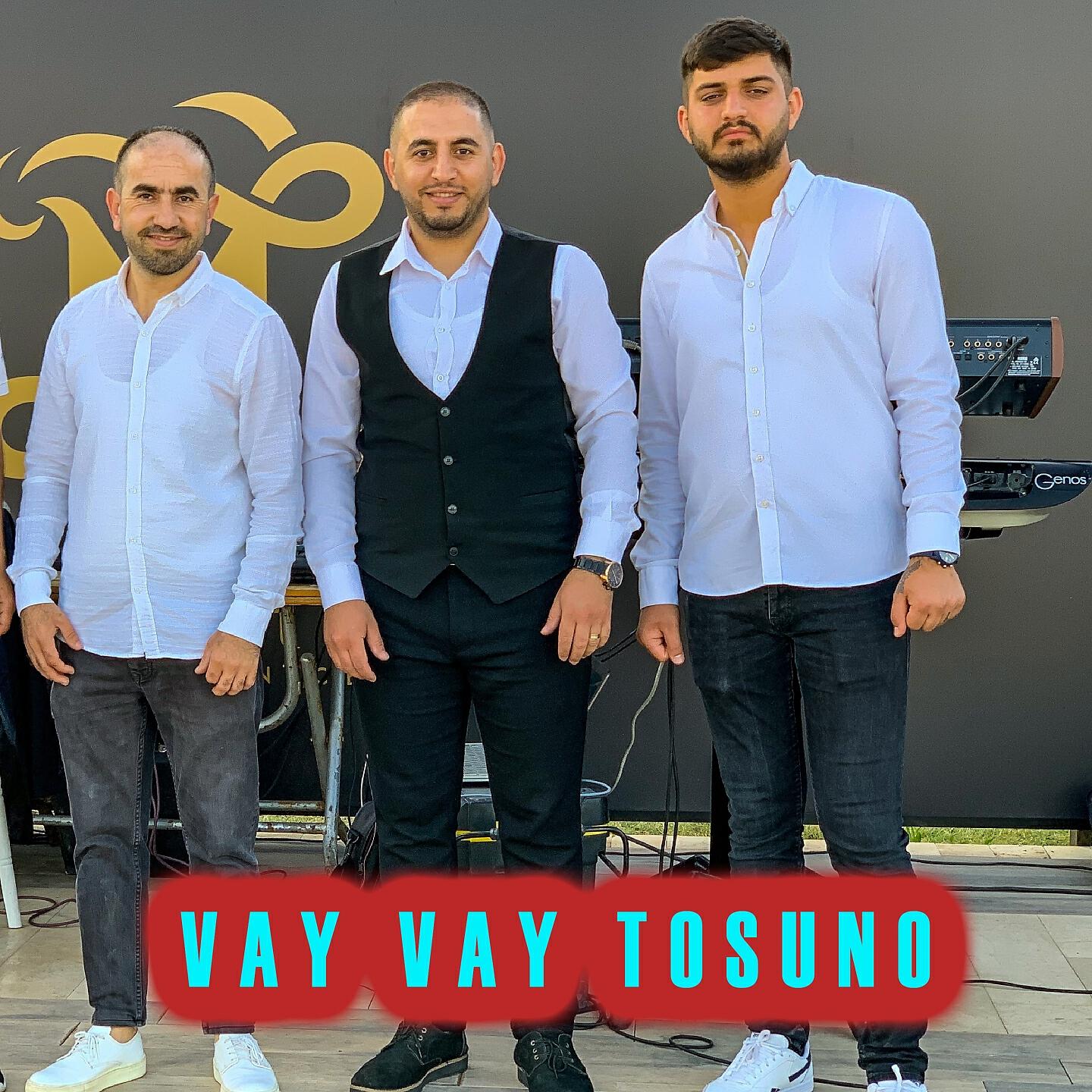 Релиз Vay Vay Tosuno