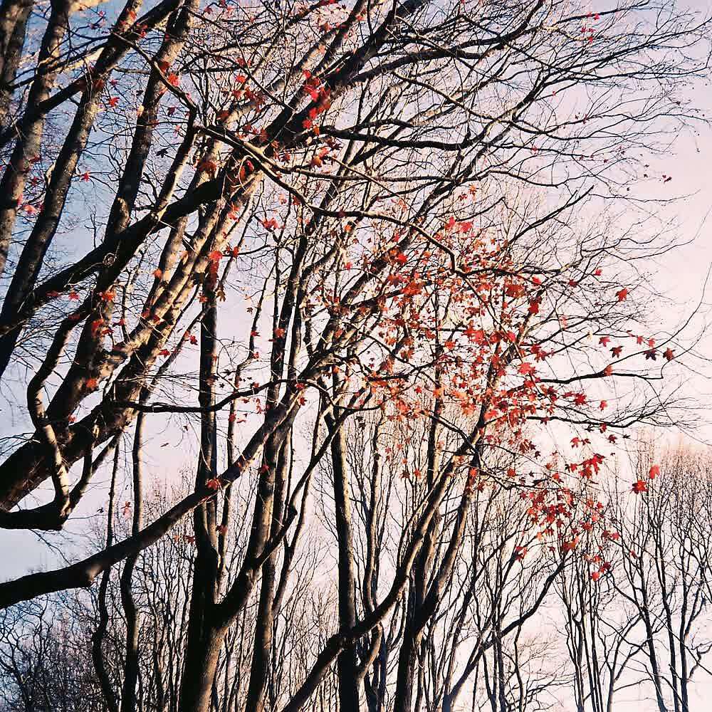 Релиз Hokkaido