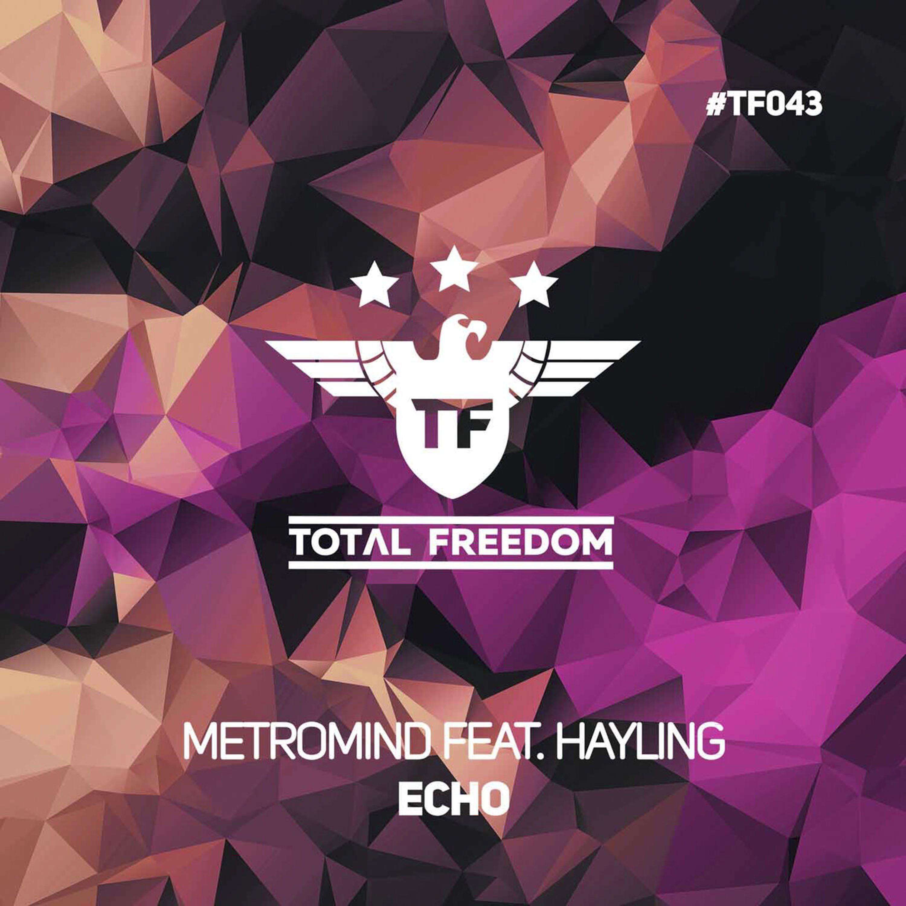 Релиз Echo