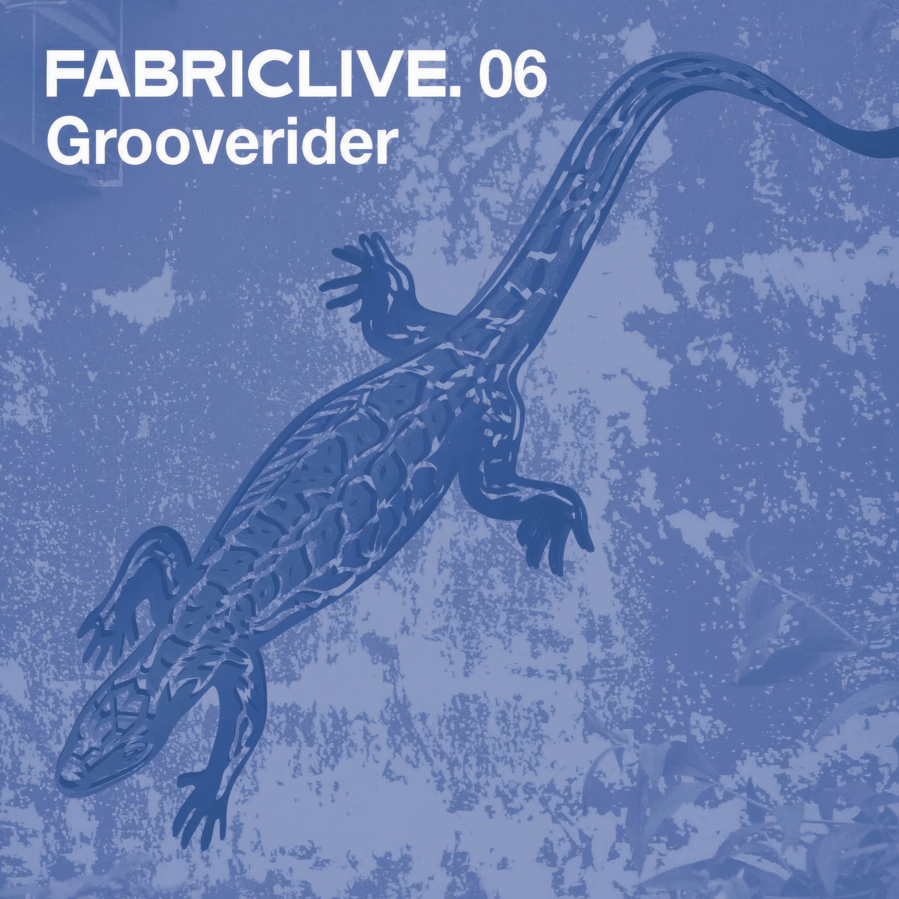 Релиз FABRICLIVE 6: Grooverider
