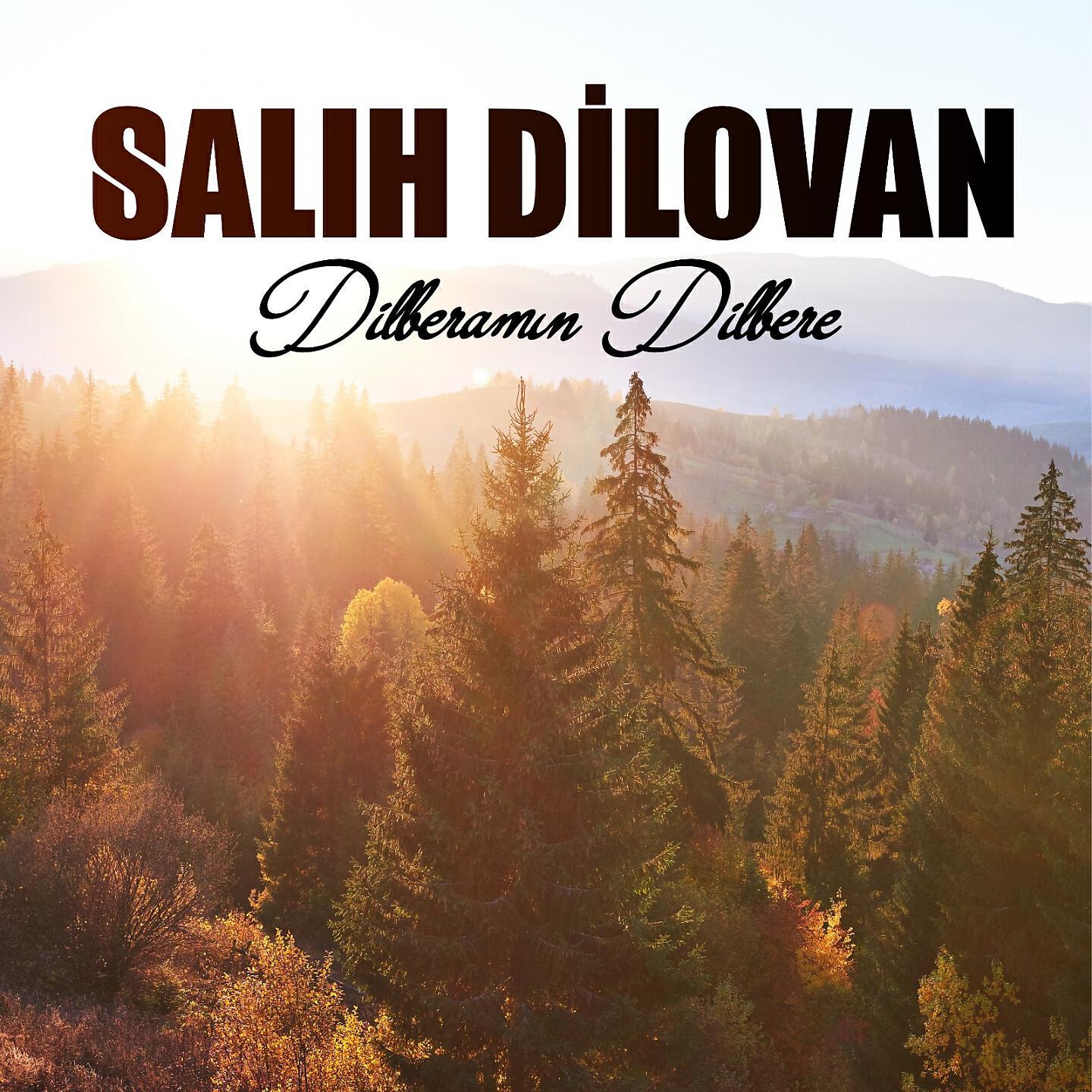 Релиз Dilberamın Dilbere