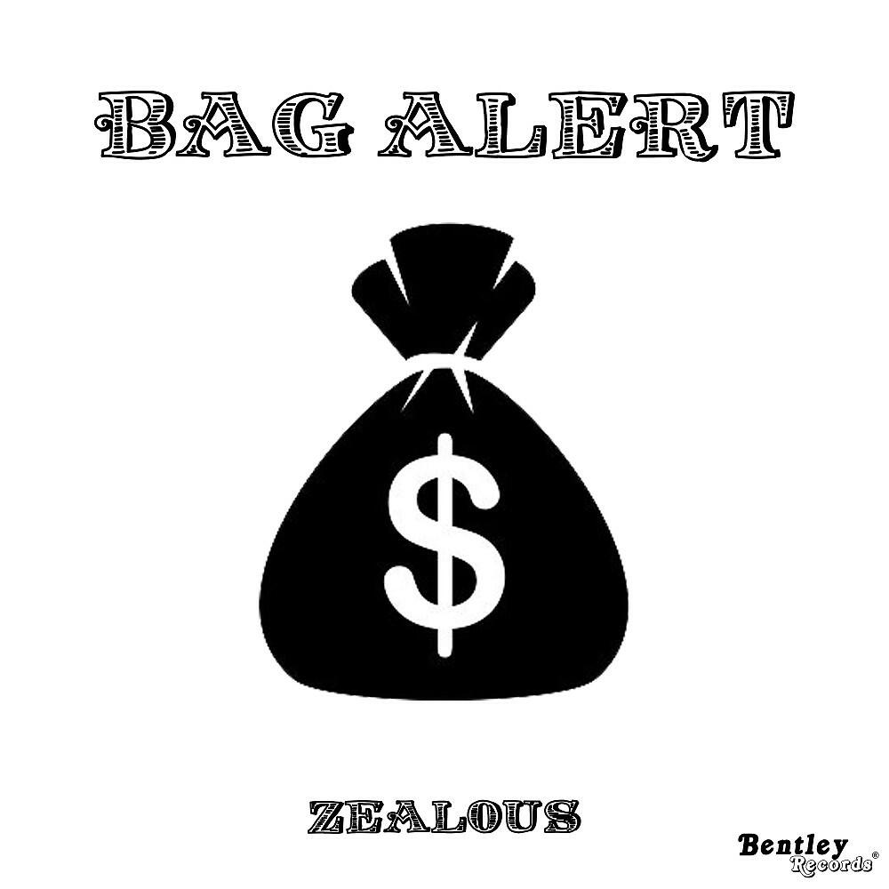 Релиз Bag Alert