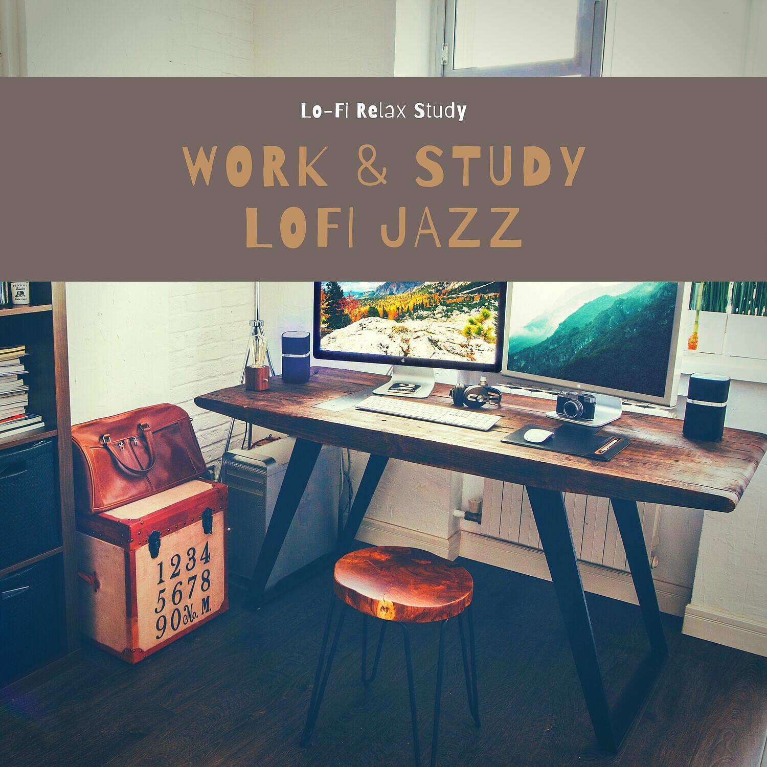 Lo-Fi Relax Study