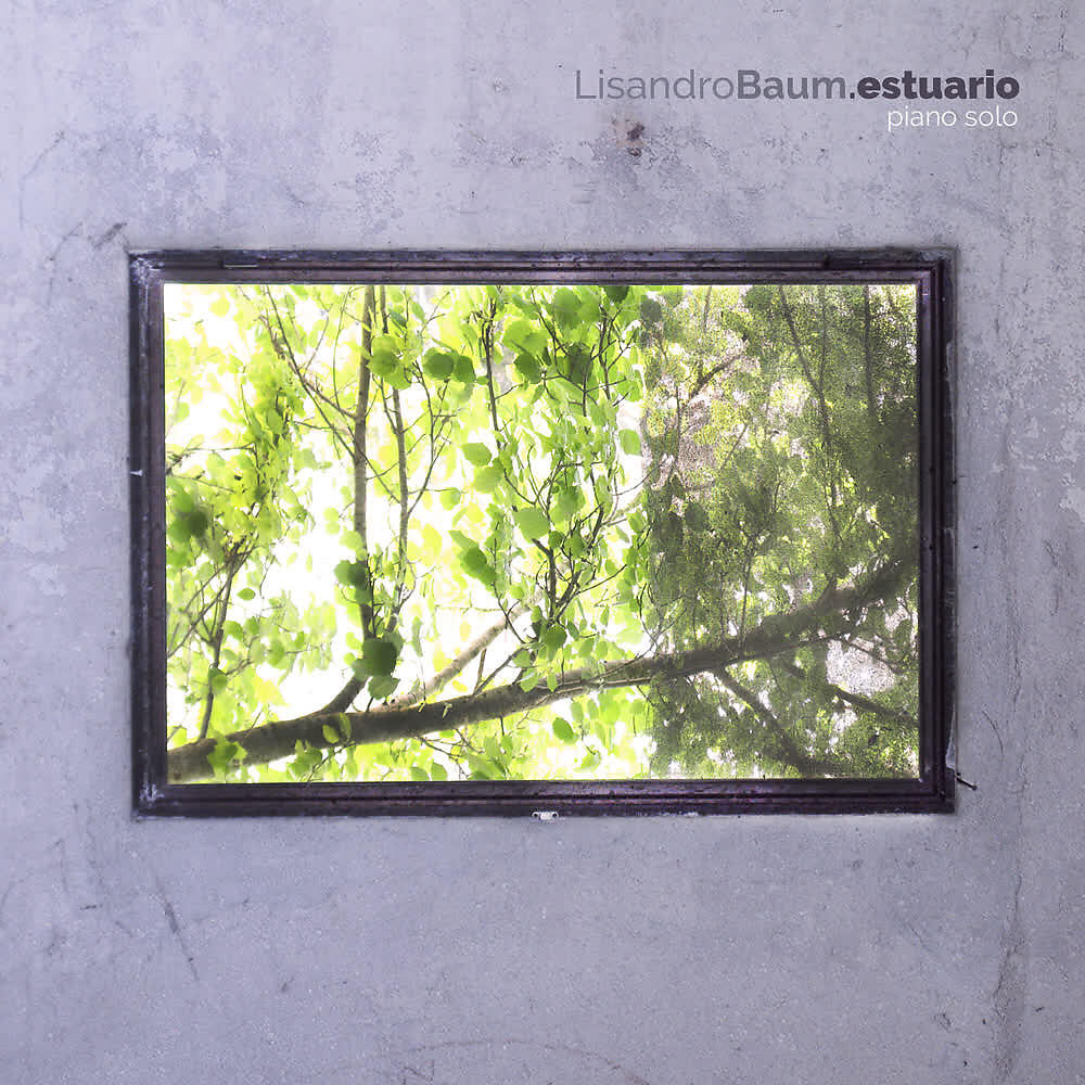 Релиз Estuario