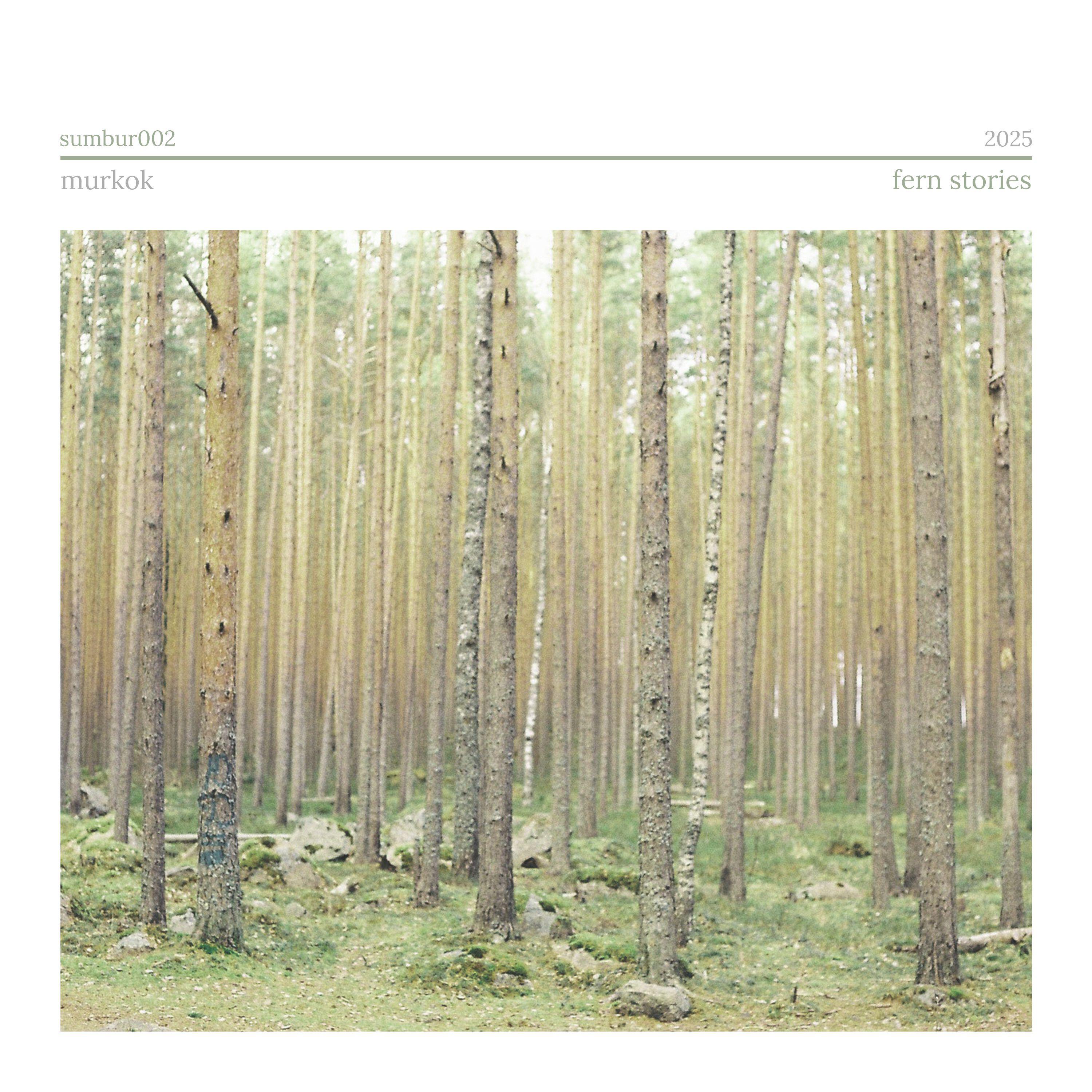Релиз Fern Stories