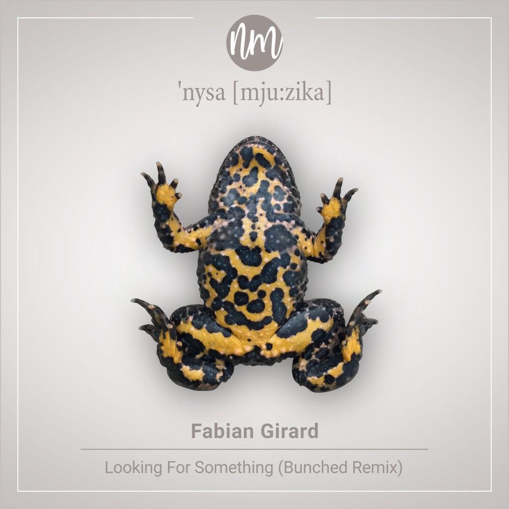Релиз Looking for Something (Bunched Remix)