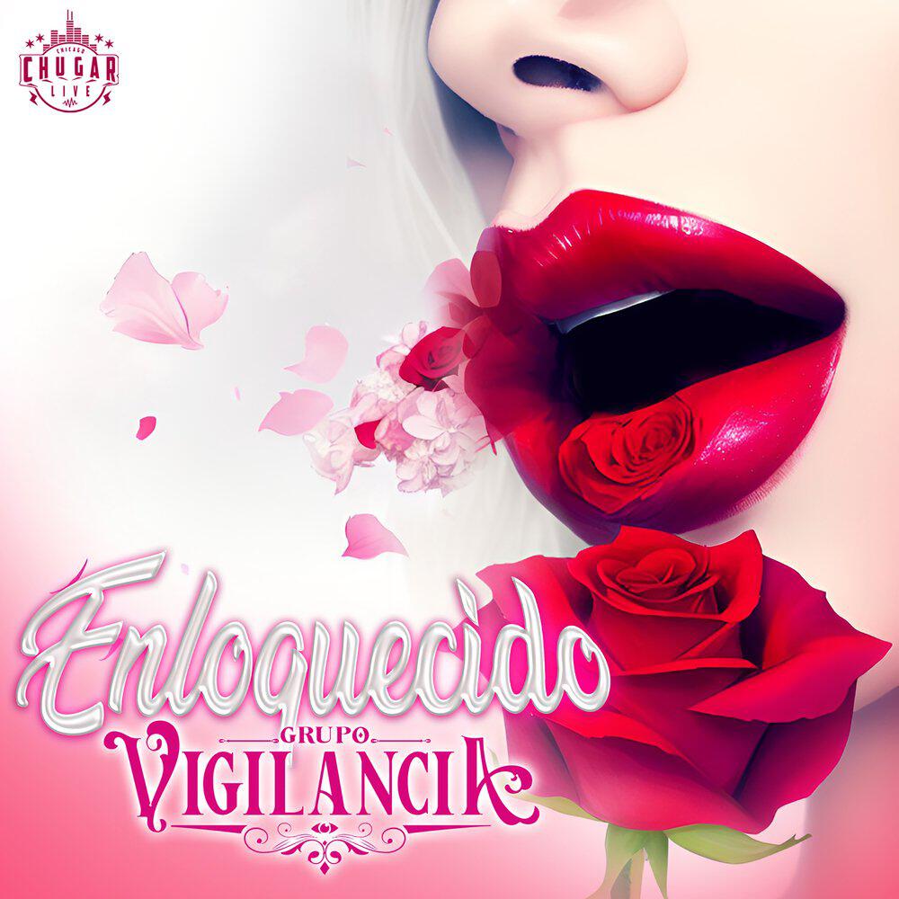 Grupo Vigilancia