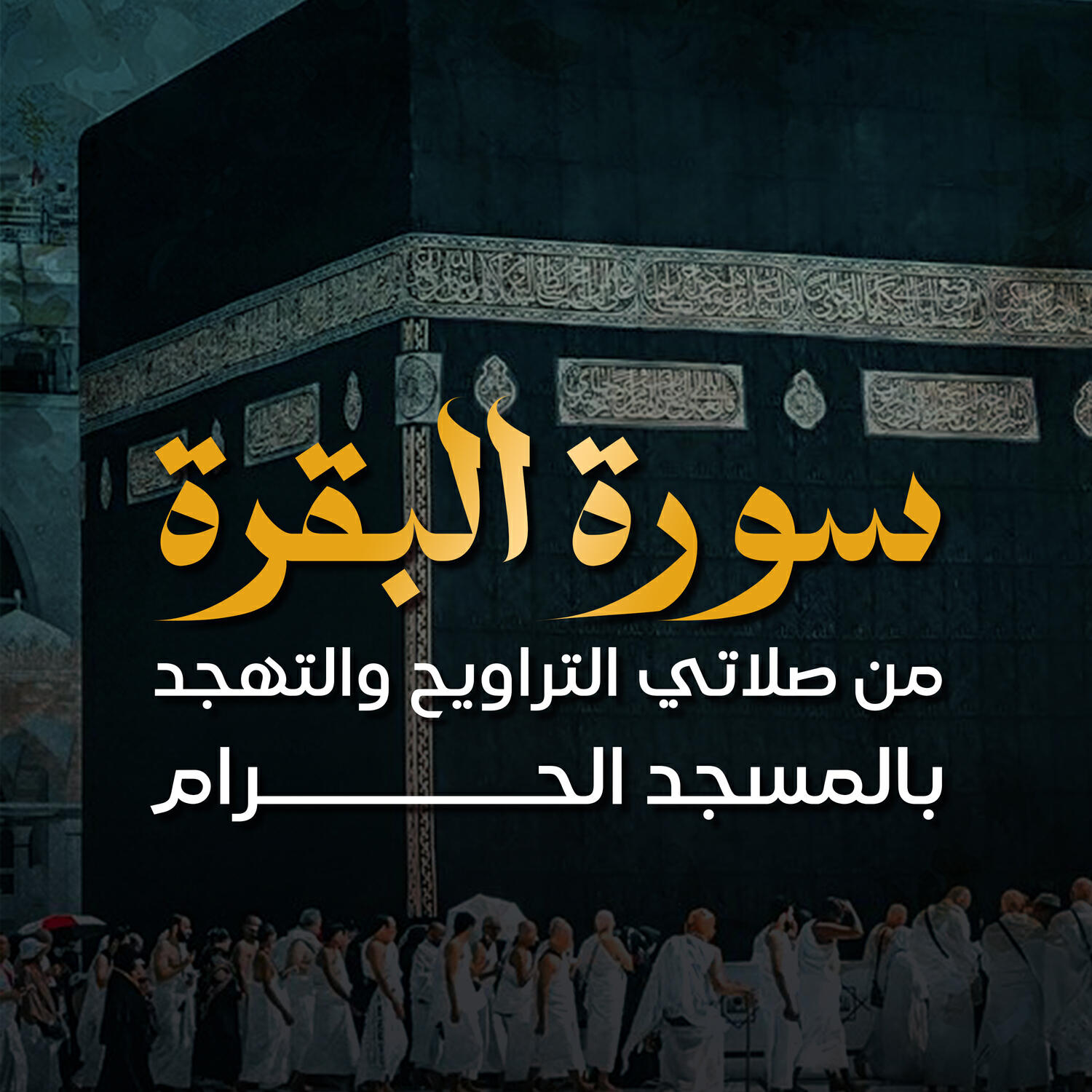 الشيخ بندر بليلة