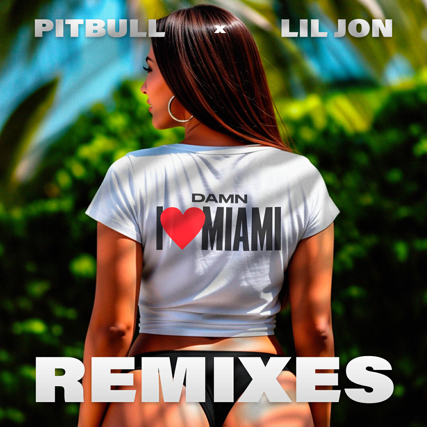 Релиз Damn I Love Miami (Remixes)