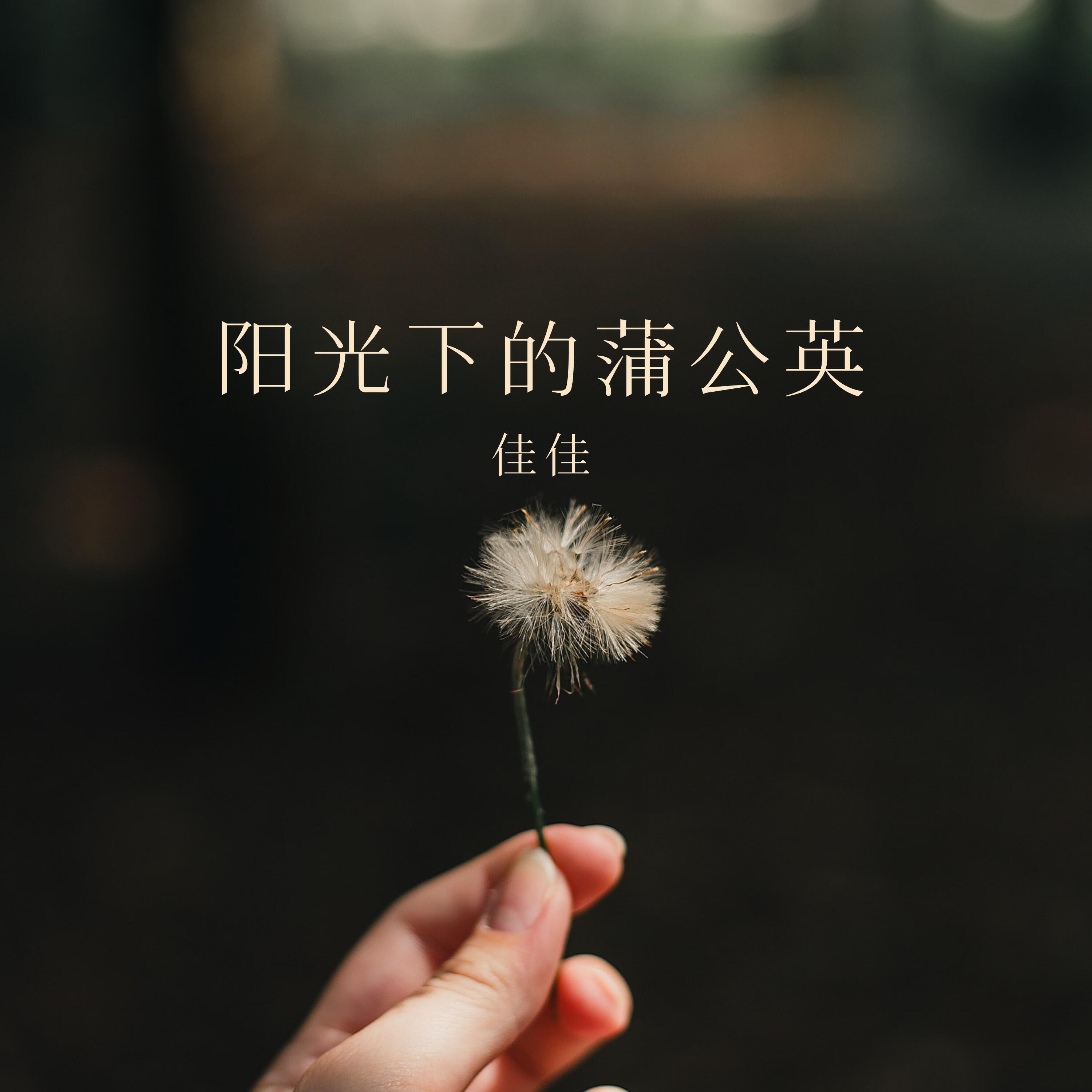 Релиз 阳光下的蒲公英