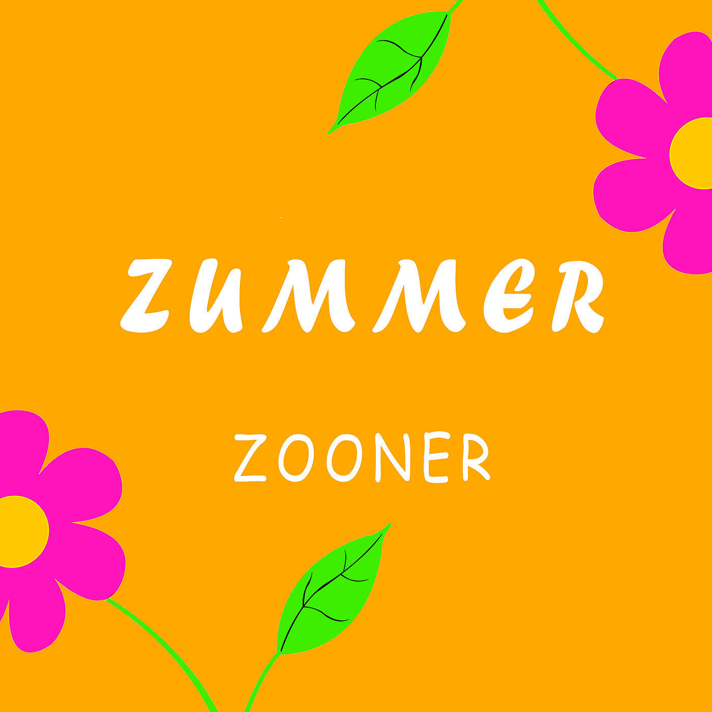 Релиз Zummer