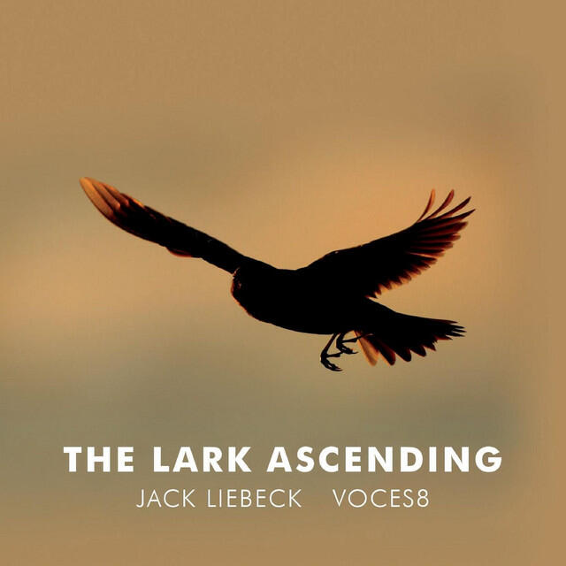 Релиз The Lark Ascending (Arr. for violin and choir by Paul Drayton)