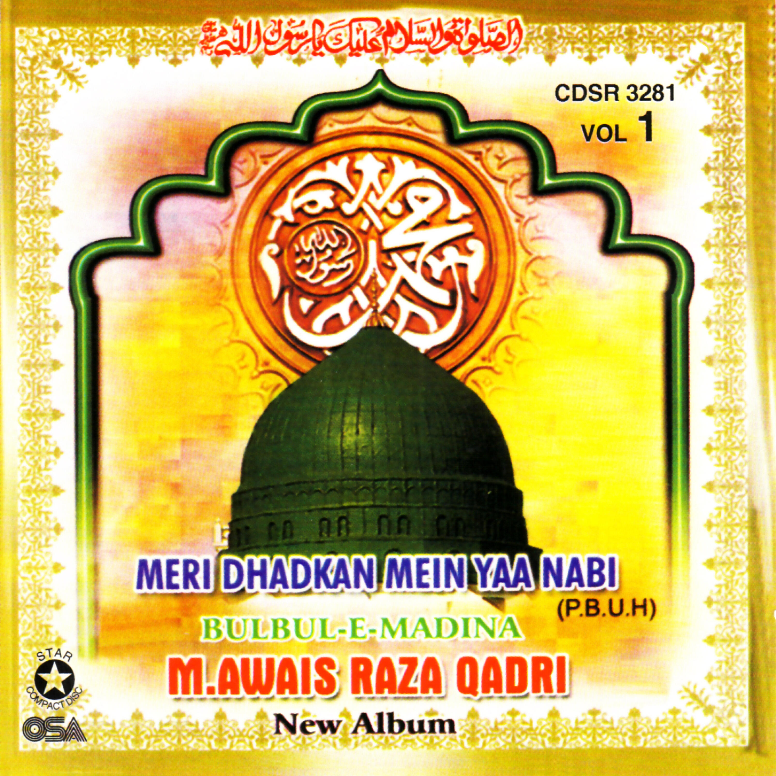 M.Owais Raza Qadri