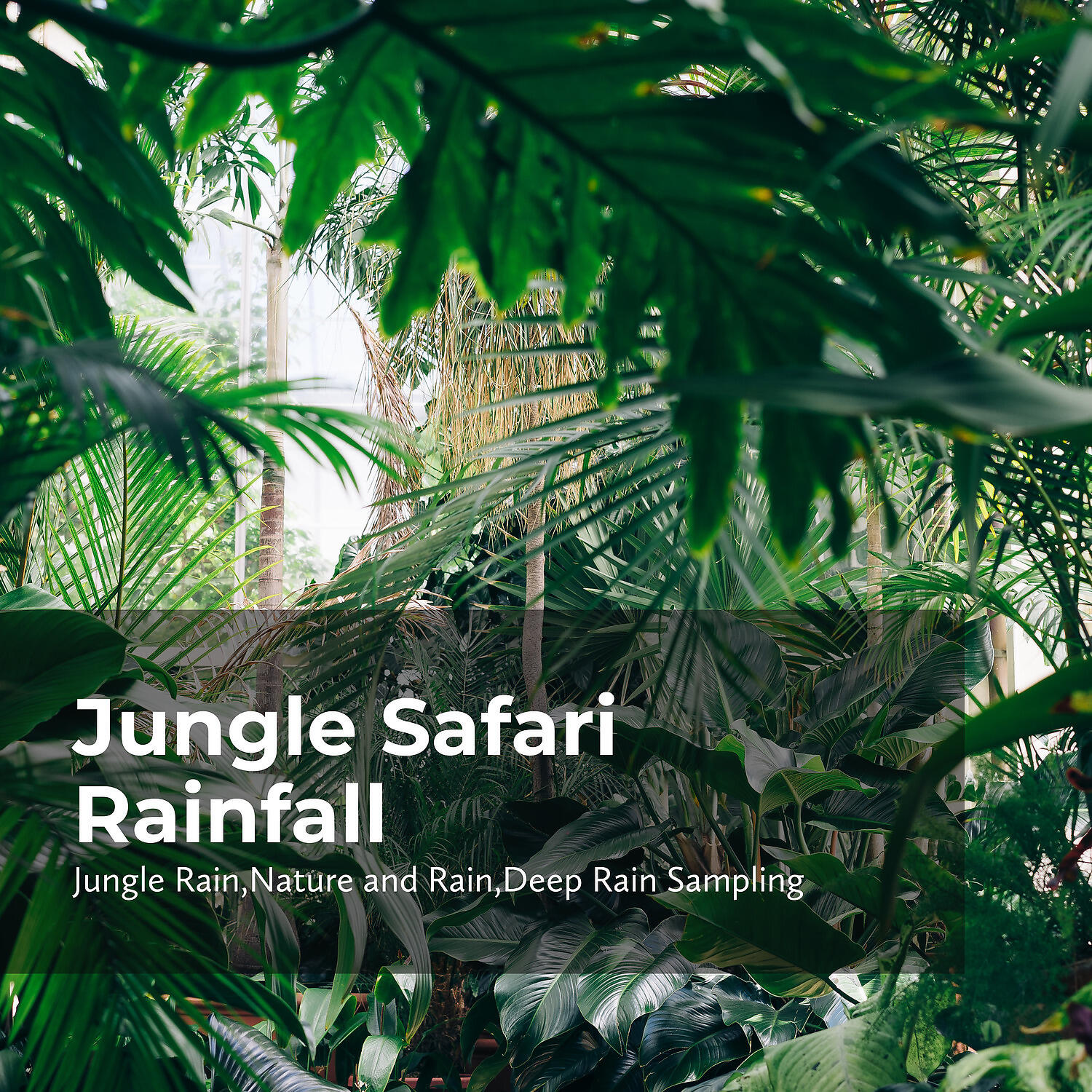 Релиз Jungle Safari Rainfall