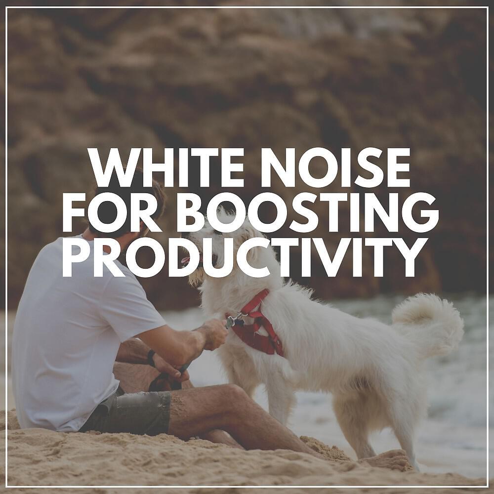 Релиз White Noise for Boosting Productivity