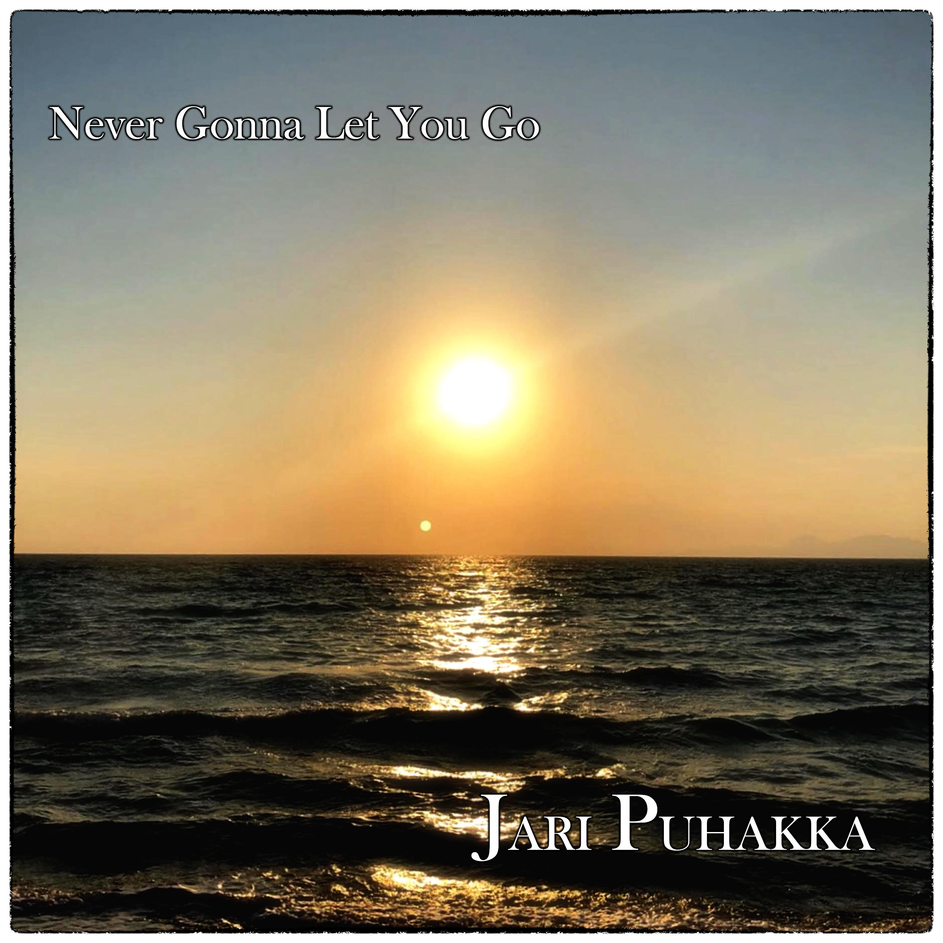 Релиз Never Gonna Let You Go