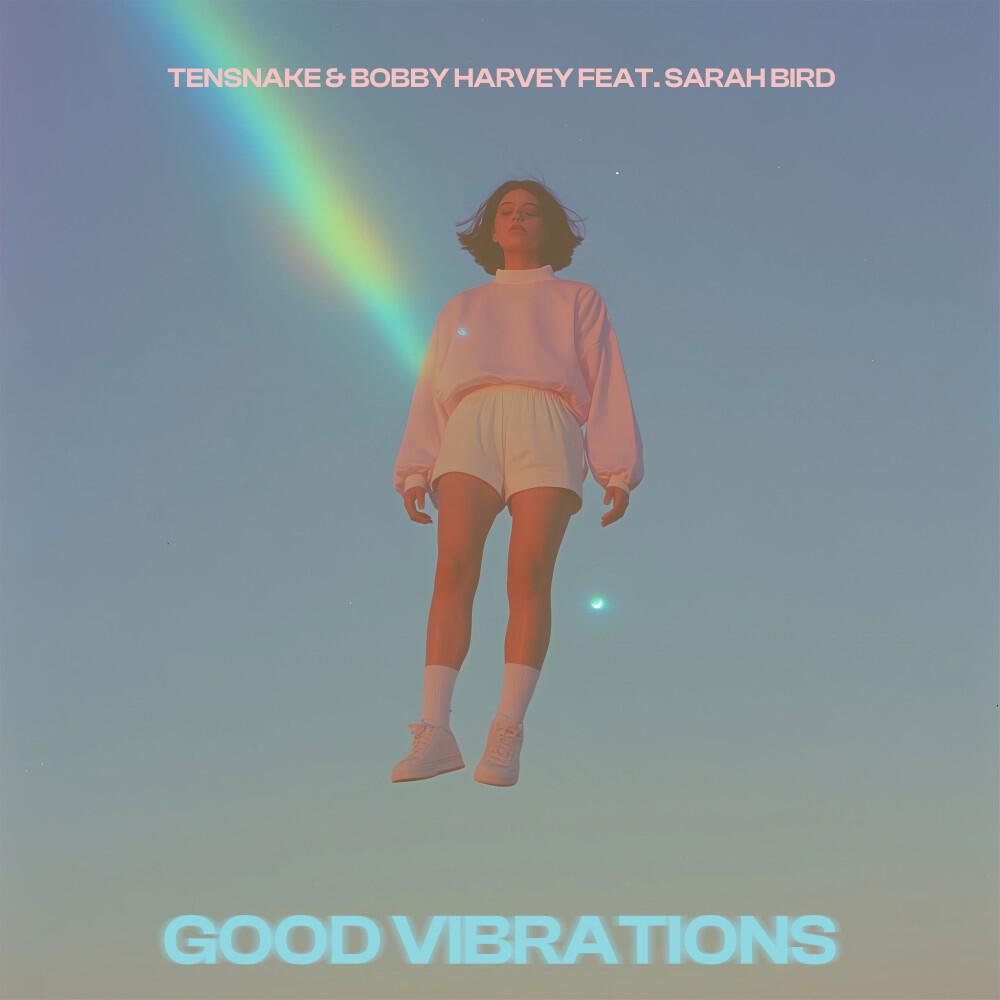 Релиз Good Vibrations
