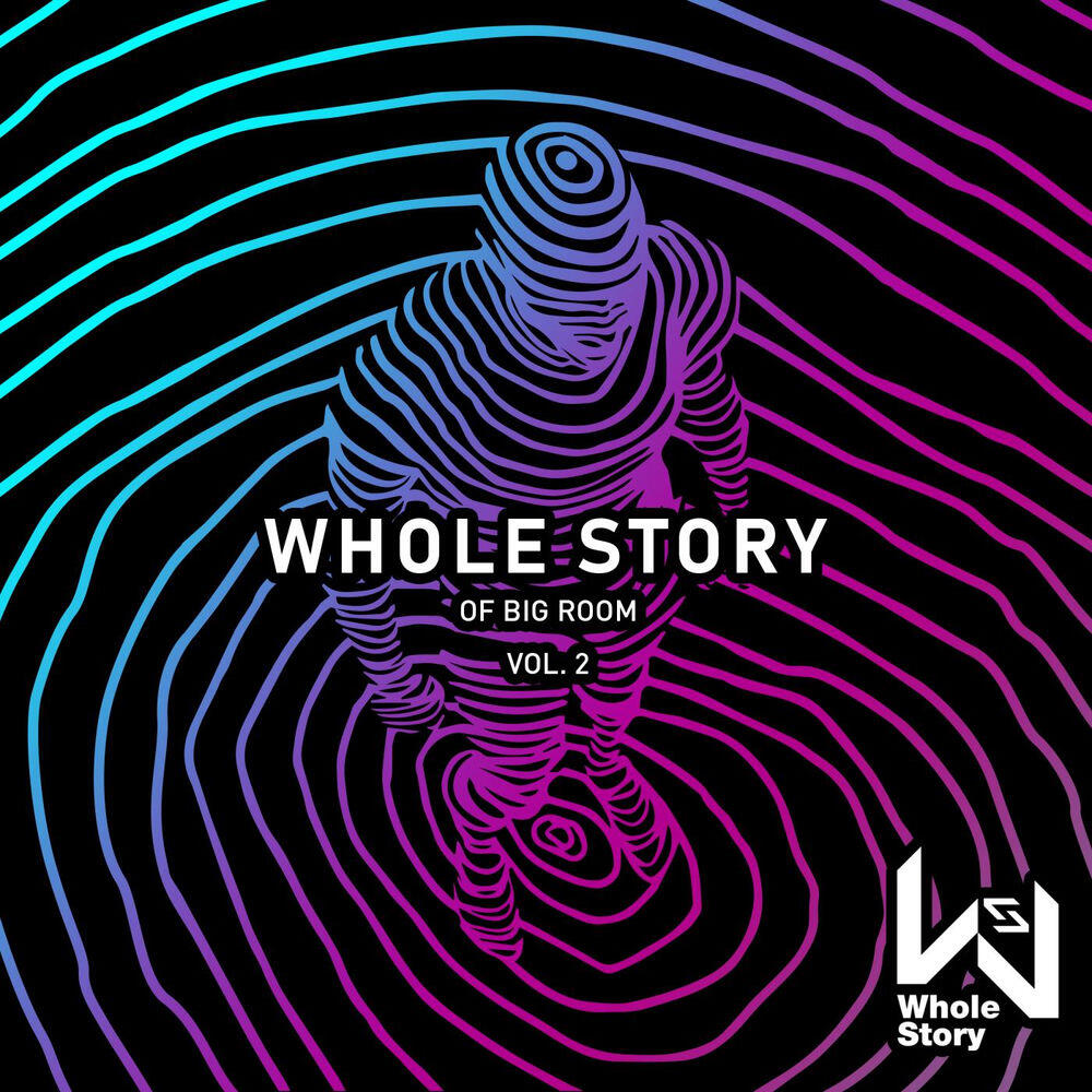 Релиз Whole Story Of Big Room Vol. 2