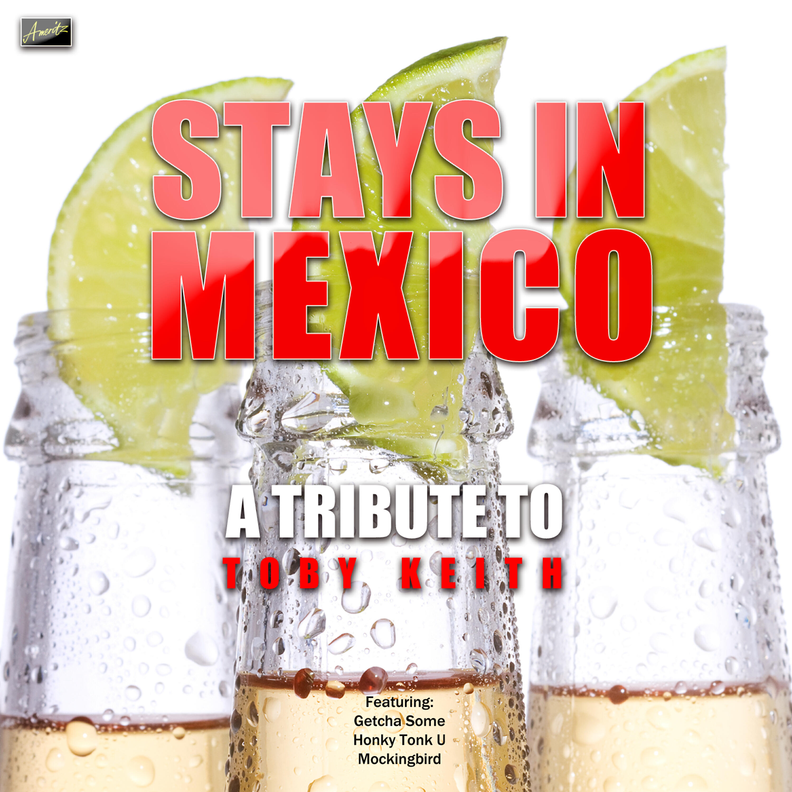 Релиз Stays in Mexico - A Tribute to Toby Keith