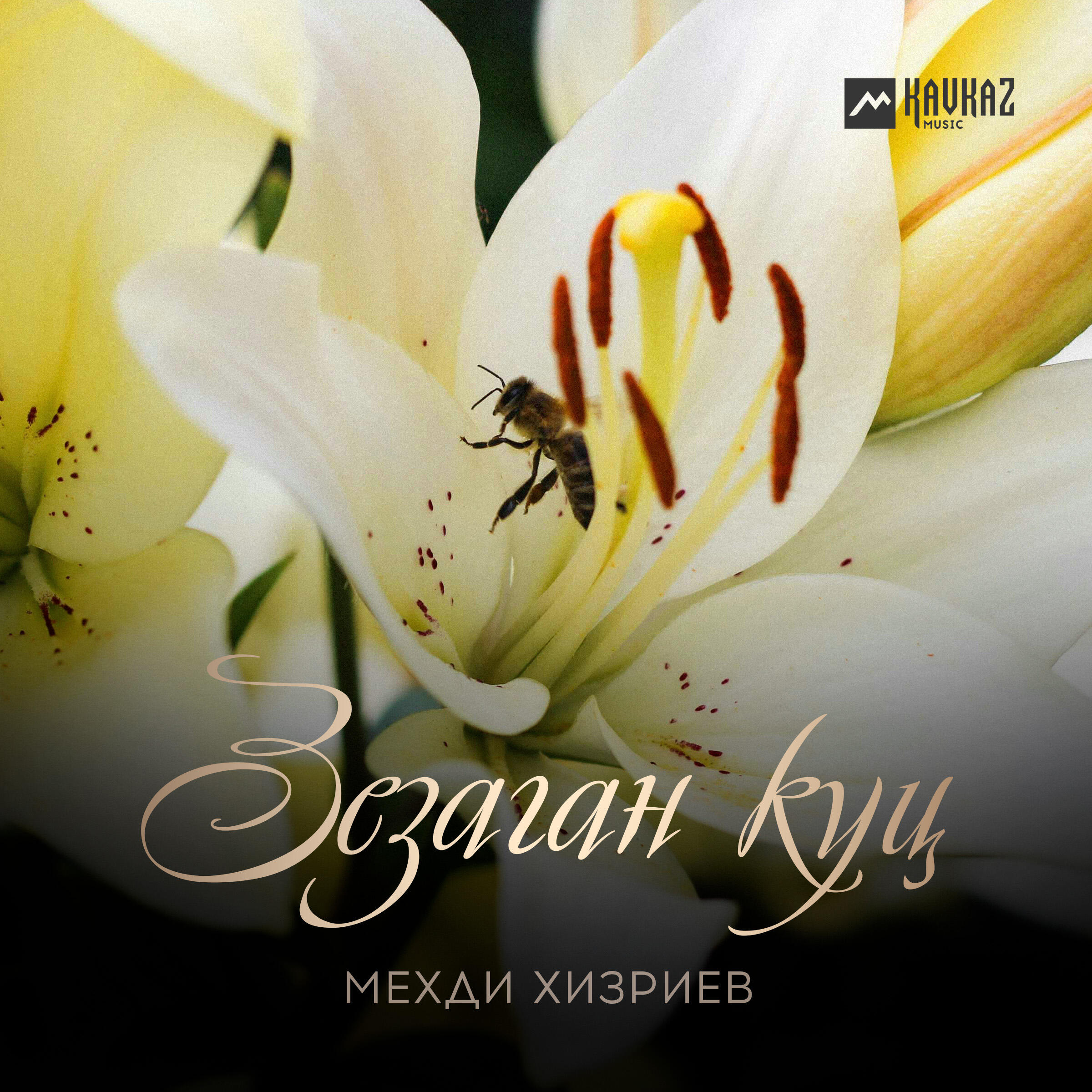 Релиз Зезаган куц