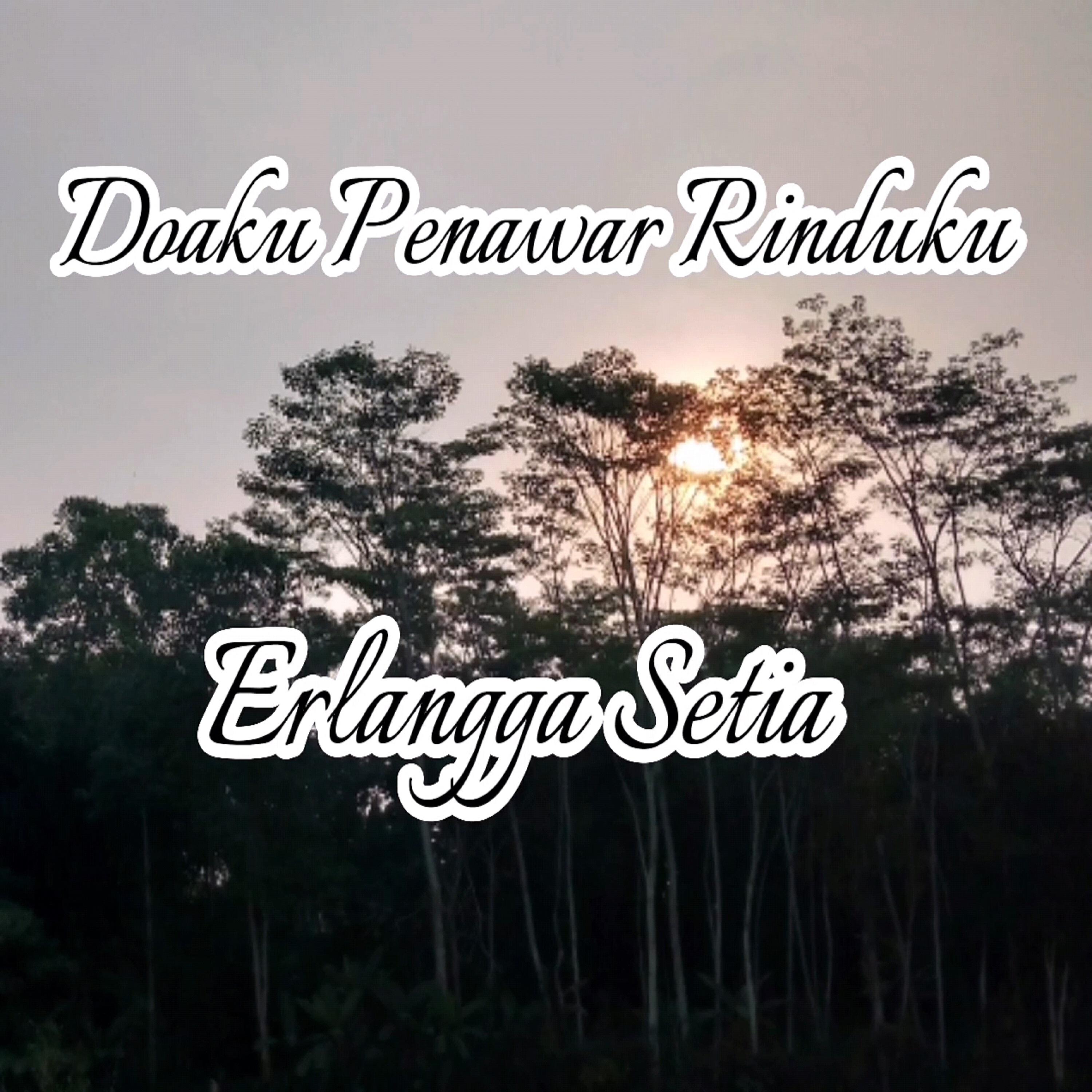 Erlangga Setia