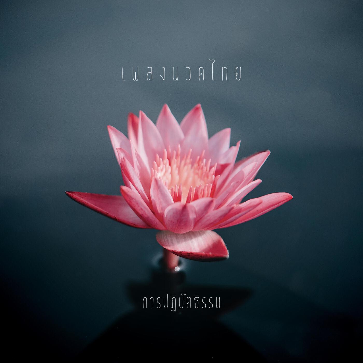 Релиз การปฏิบัติธรรม
