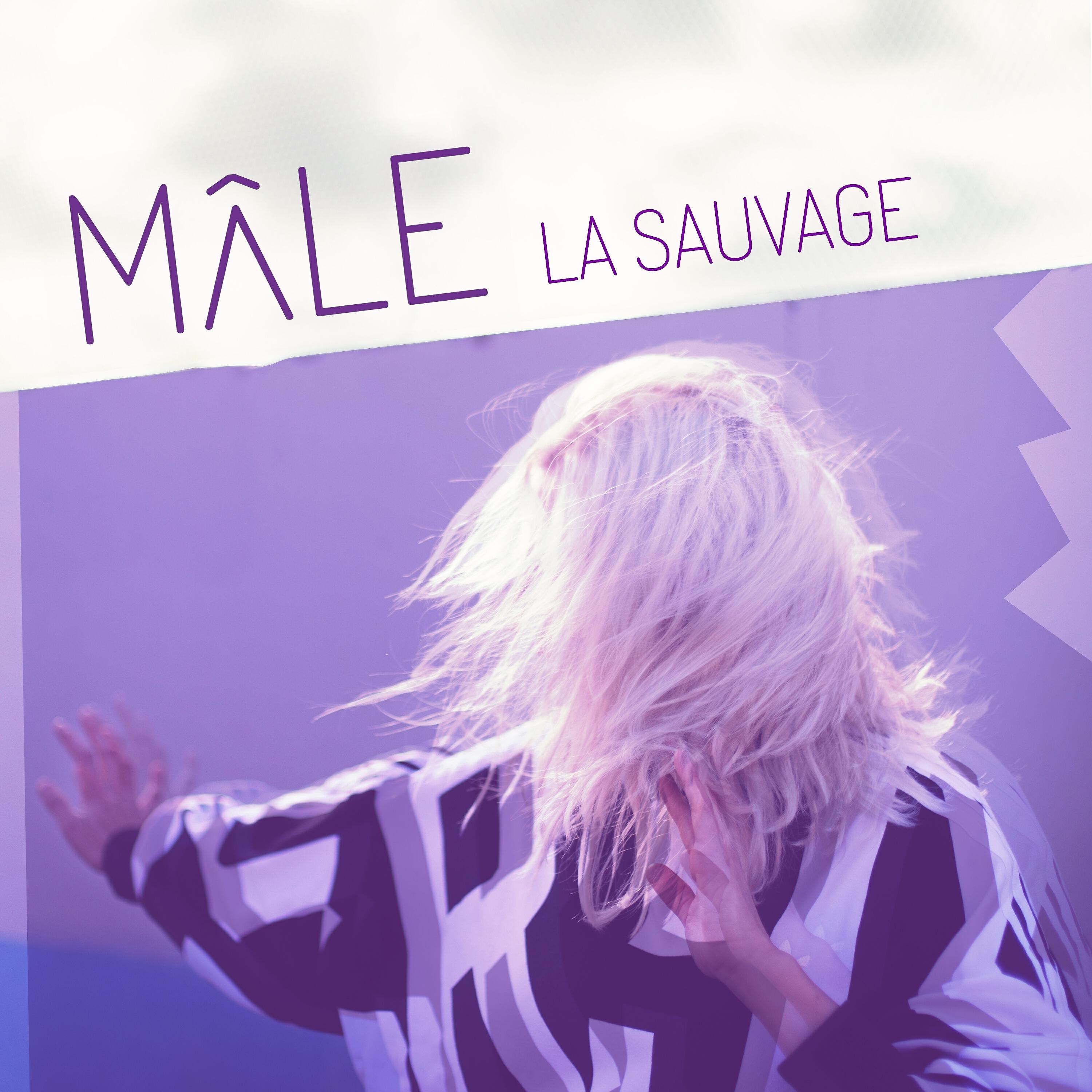 Релиз La sauvage (Radio edit)